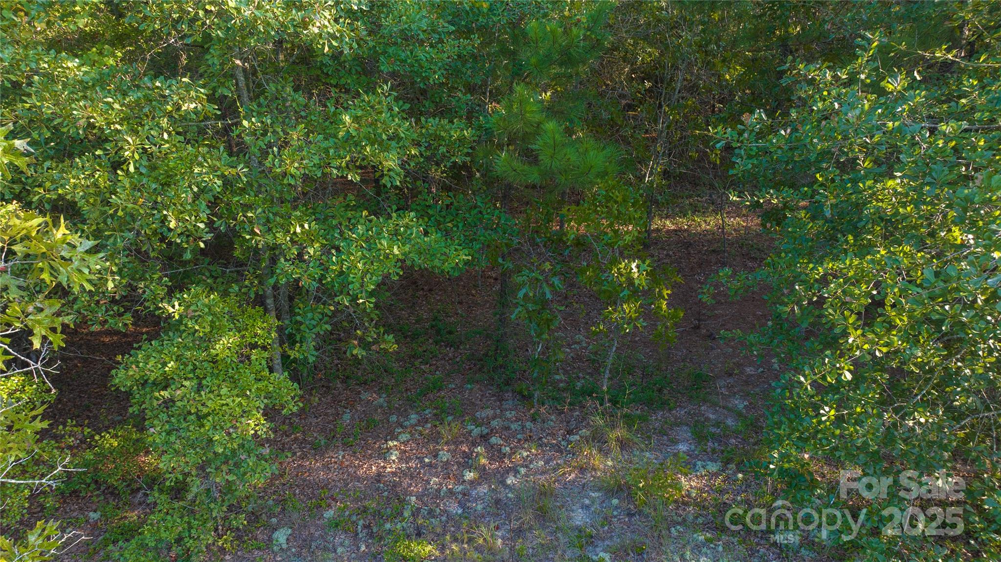 1084 Charlie Johnson Road Kershaw, SC 29067 - Photo 6 of 12 Gallery Image 6