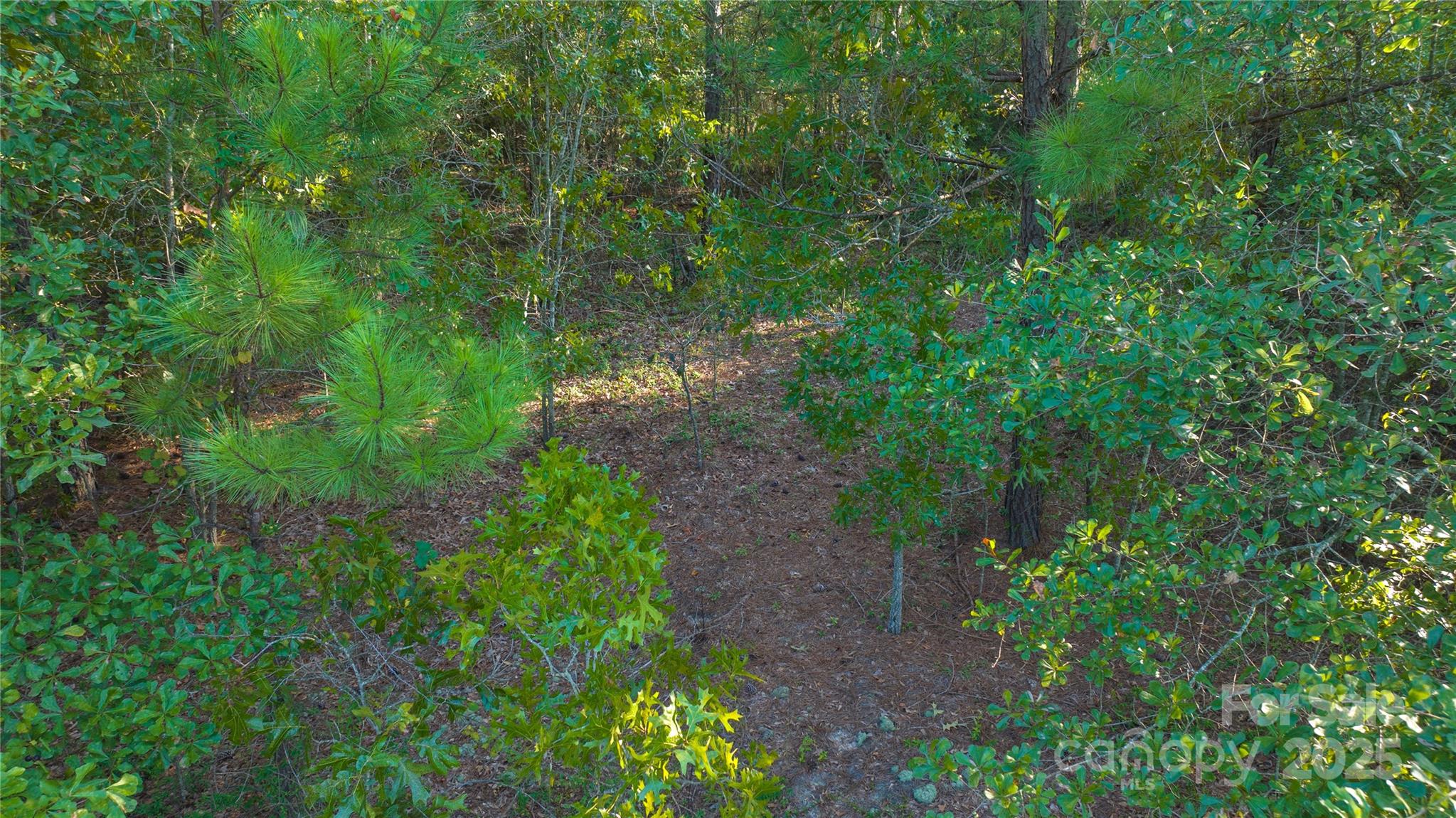 1084 Charlie Johnson Road Kershaw, SC 29067 - Photo 7 of 12 Gallery Image 7