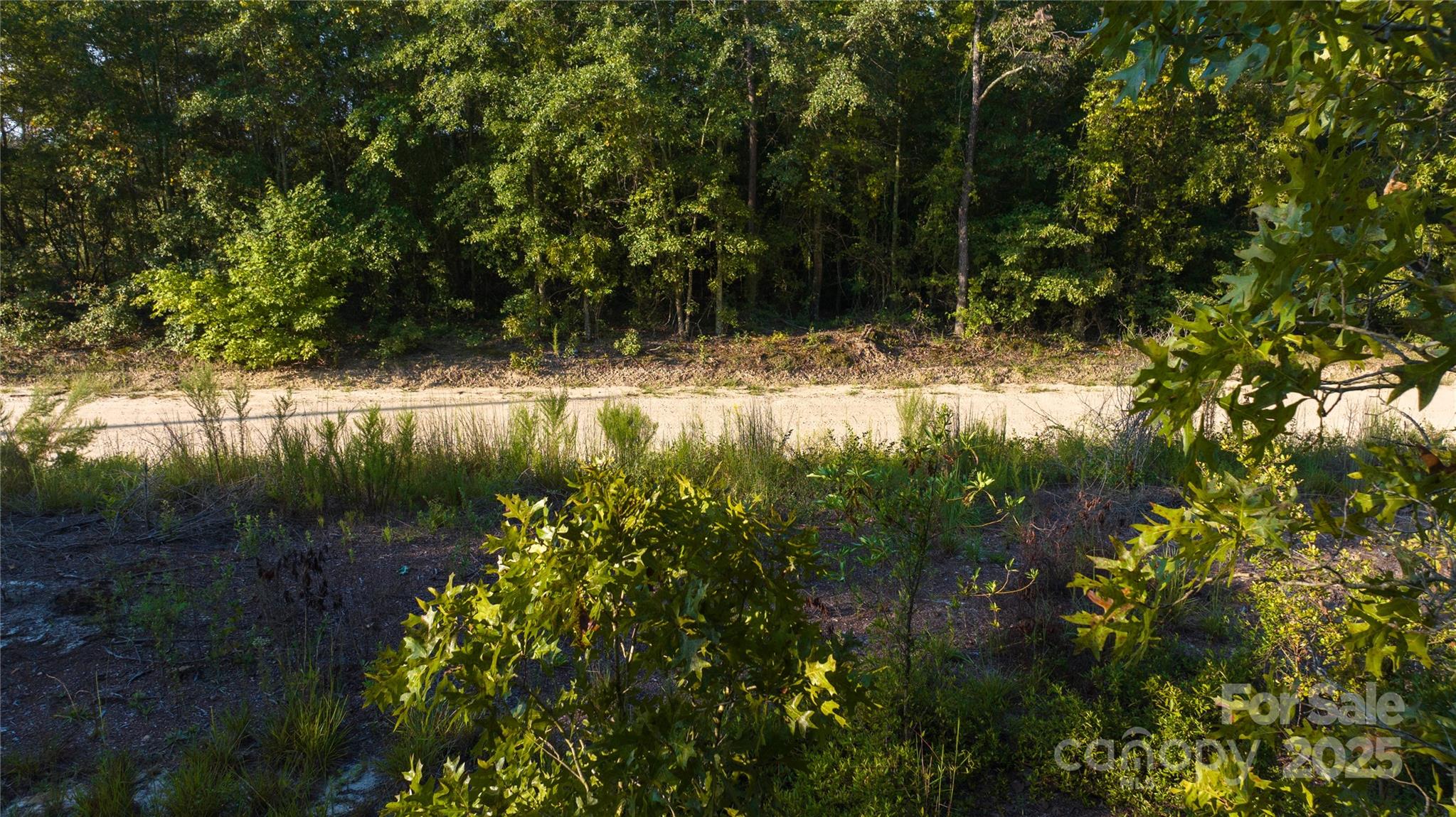 1084 Charlie Johnson Road Kershaw, SC 29067 - Photo 8 of 12 Gallery Image 8