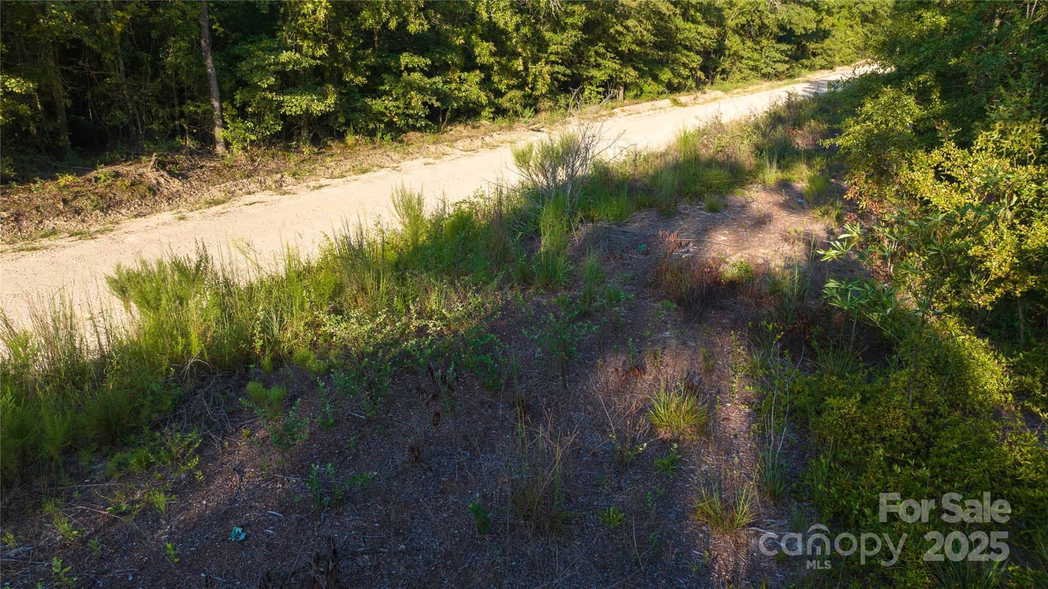 1084 Charlie Johnson Road Kershaw, SC 29067 - Photo 9 of 12 Gallery Image 9