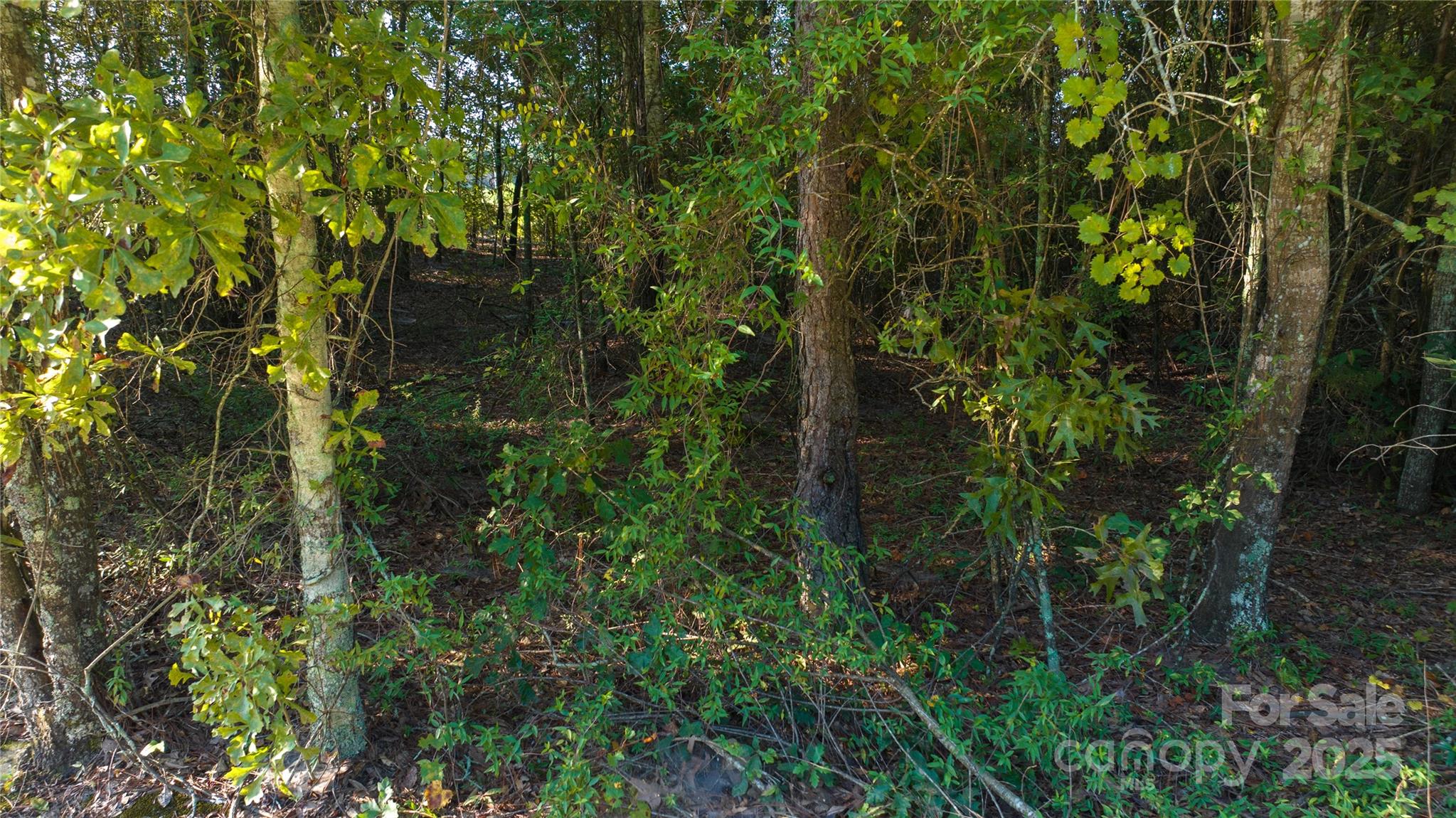 1084 Charlie Johnson Road Kershaw, SC 29067 - Photo 10 of 12 Gallery Image 10