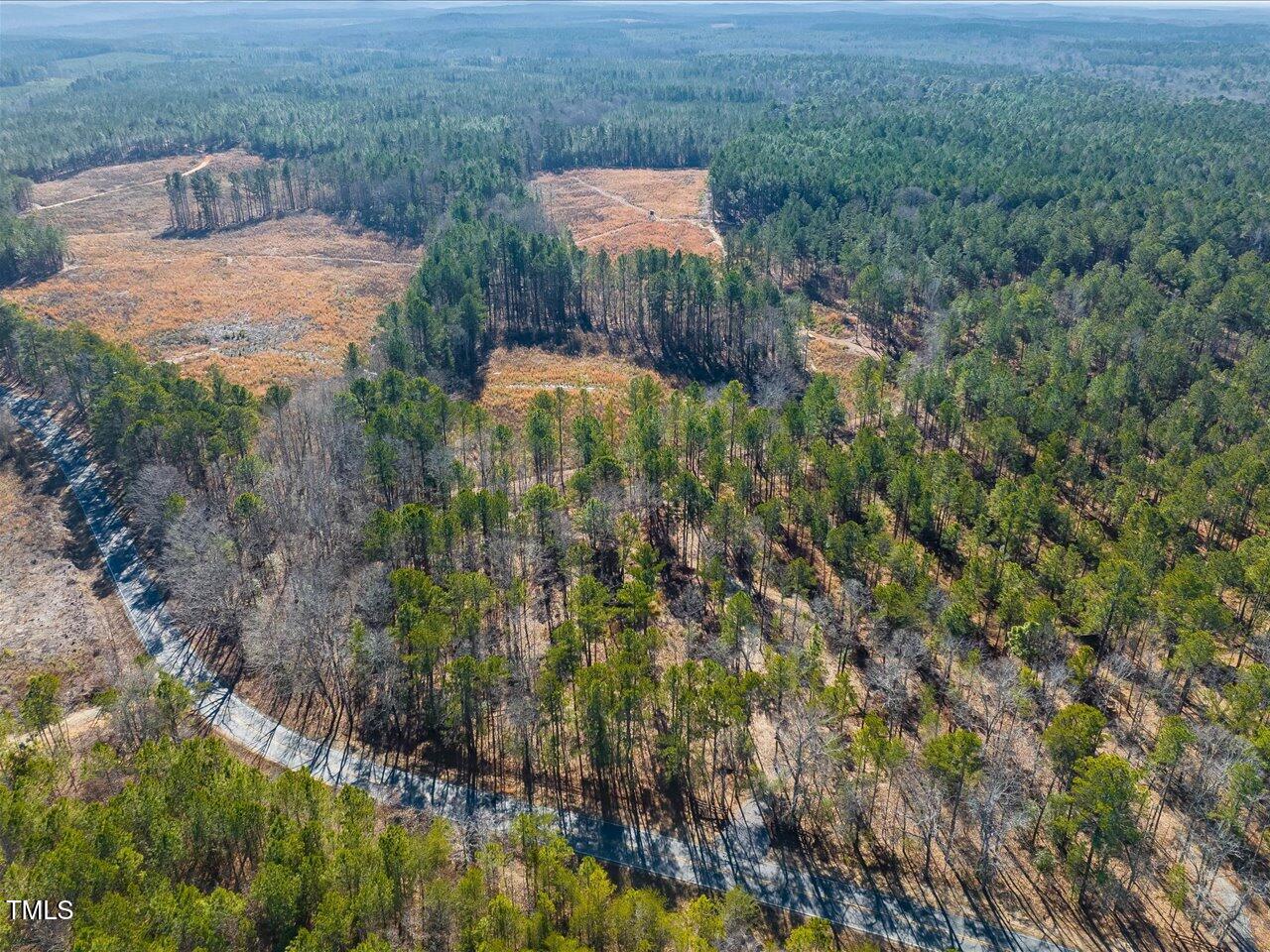 2 Robedo Rd Mount Mount Gilead, NC 27306 - Photo 6 of 28 06-006-Tract2-RobedoRd-MontgomeryCounty-