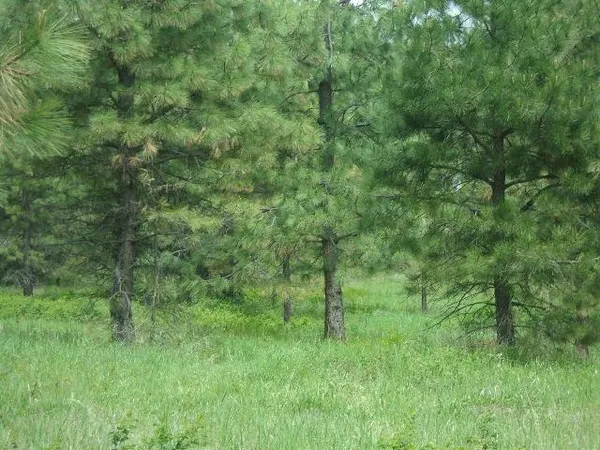 $149,000 | X12 X Hoag Road, Valley, WA 99181