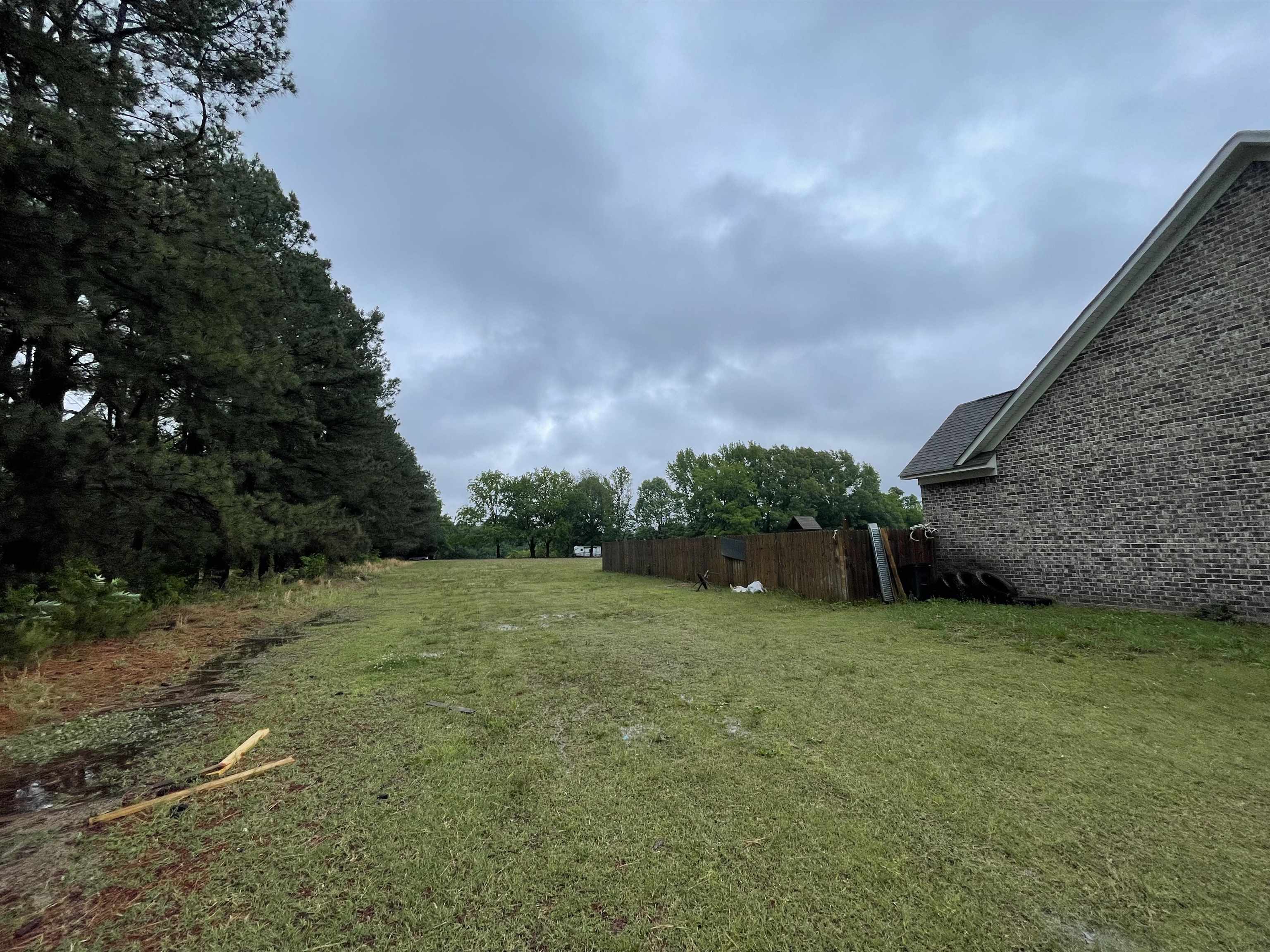 378 Holly Grove Road Covington, TN 38019 - Photo 23 of 23 a view of a field of grass and a tree