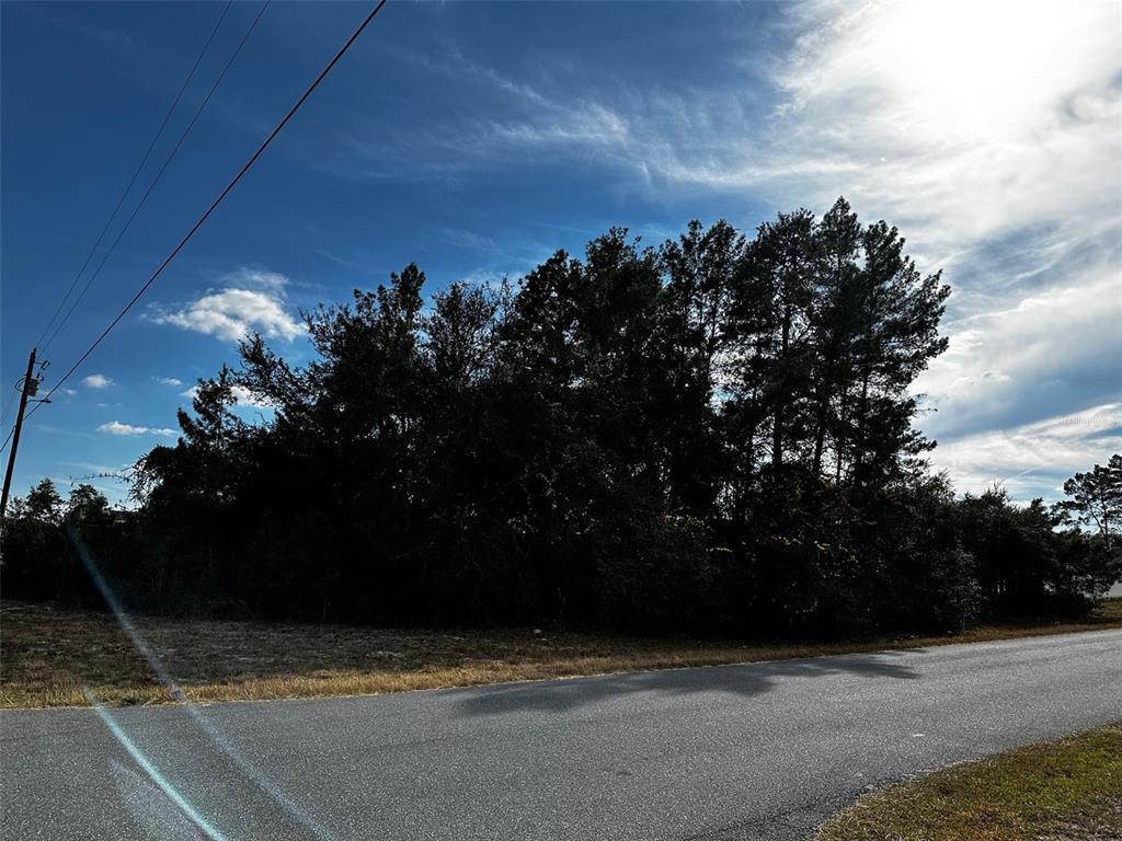 0 Southwest 31st Circle Ocala, FL 34473 - Photo 2 of 3