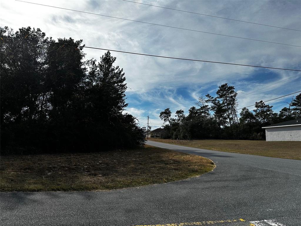 0 Southwest 31st Circle Ocala, FL 34473 - Photo 3 of 3