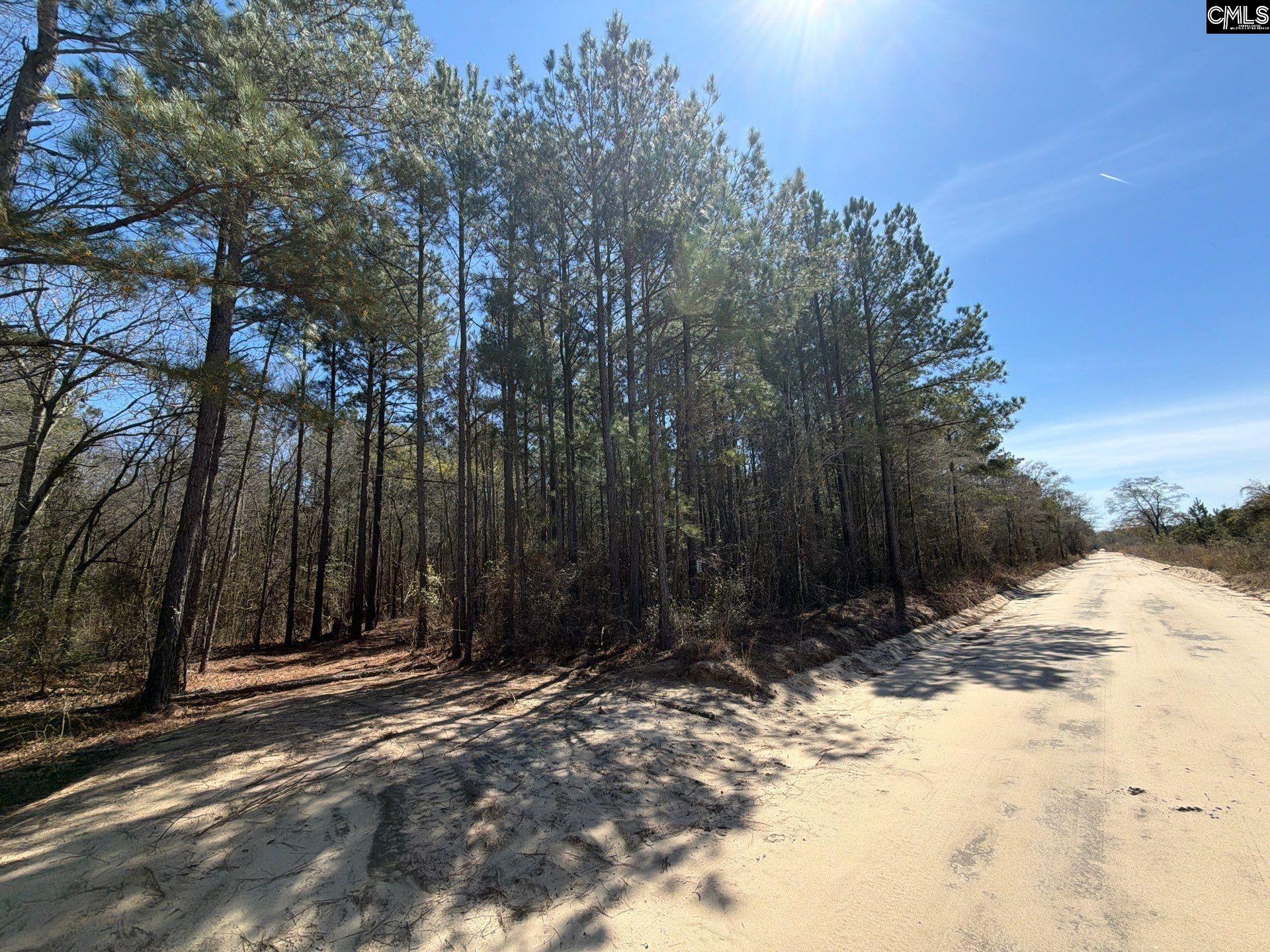 11 Boise Cascade Road, Unit BHL 11 Bethune, SC 29009 - Photo 3 of 24
