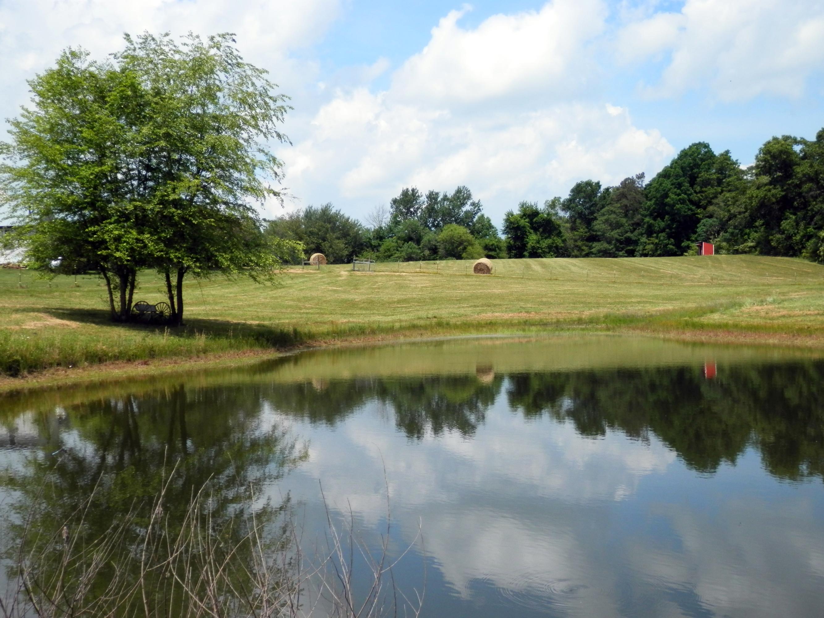 1929 Roslin Road Jamestown, TN 38556 - Photo 3 of 40 LARGE POND