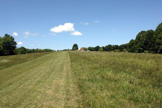 1929 Roslin Road Jamestown, TN 38556 - Photo 24 of 40 View from Rustic cabin