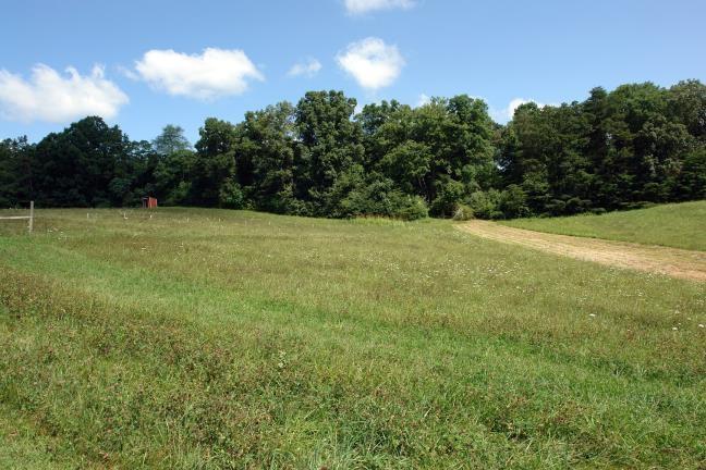1929 Roslin Road Jamestown, TN 38556 - Photo 35 of 40 Pasture to Rustic Cabin