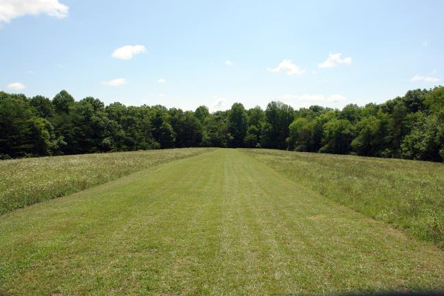 1929 Roslin Road Jamestown, TN 38556 - Photo 37 of 40 Runway in Pasture