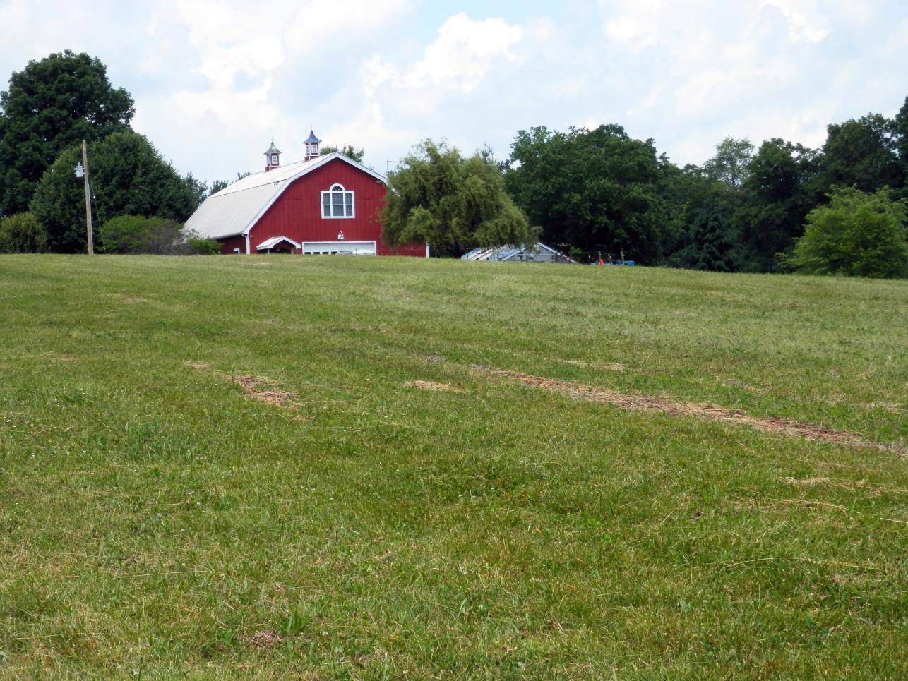 1929 Roslin Road Jamestown, TN 38556 - Photo 38 of 40 Rear view of Barn