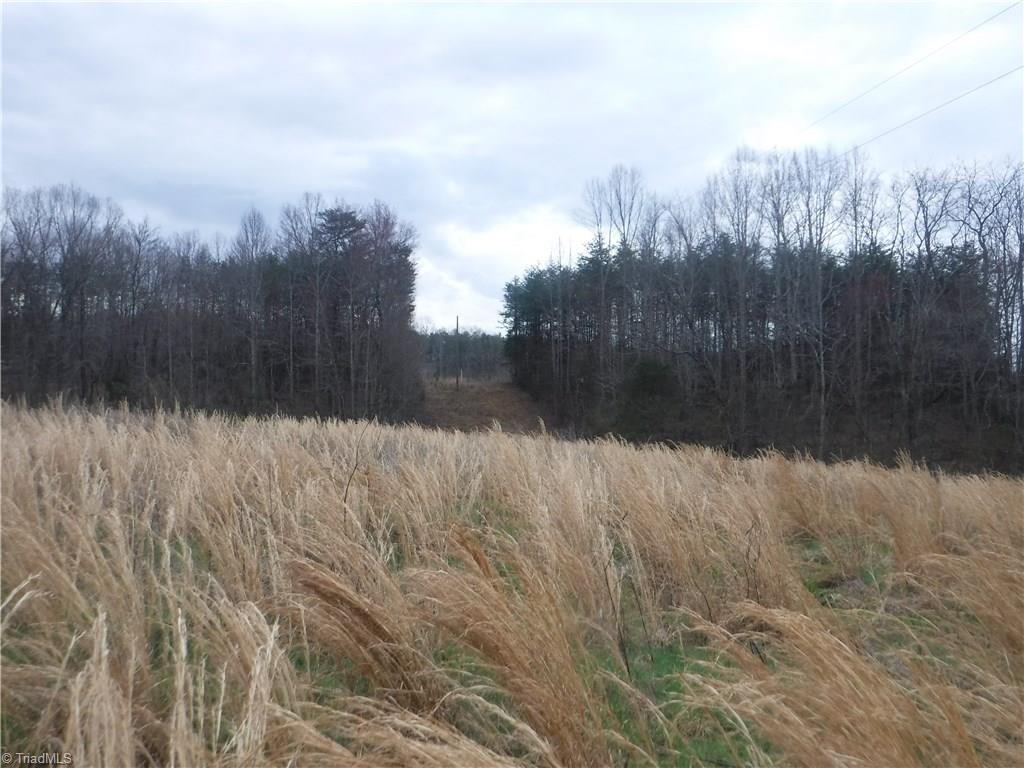 1320 McDaniel Road Pilot Mountain, NC 27041 - Photo 2 of 10 Gallery Image 2