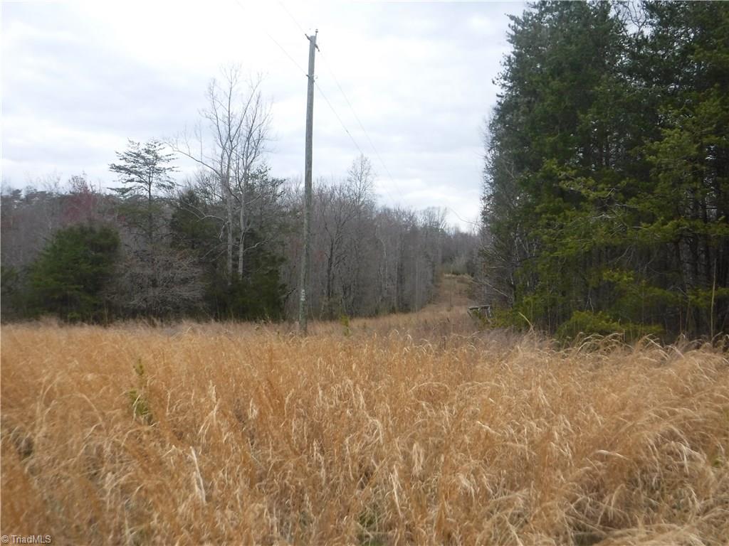 1320 McDaniel Road Pilot Mountain, NC 27041 - Photo 4 of 10 Gallery Image 4