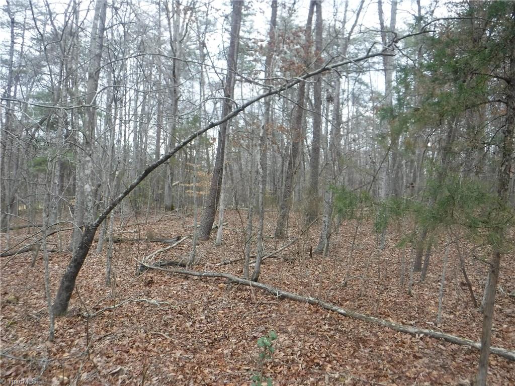 1320 McDaniel Road Pilot Mountain, NC 27041 - Photo 5 of 10 Gallery Image 5