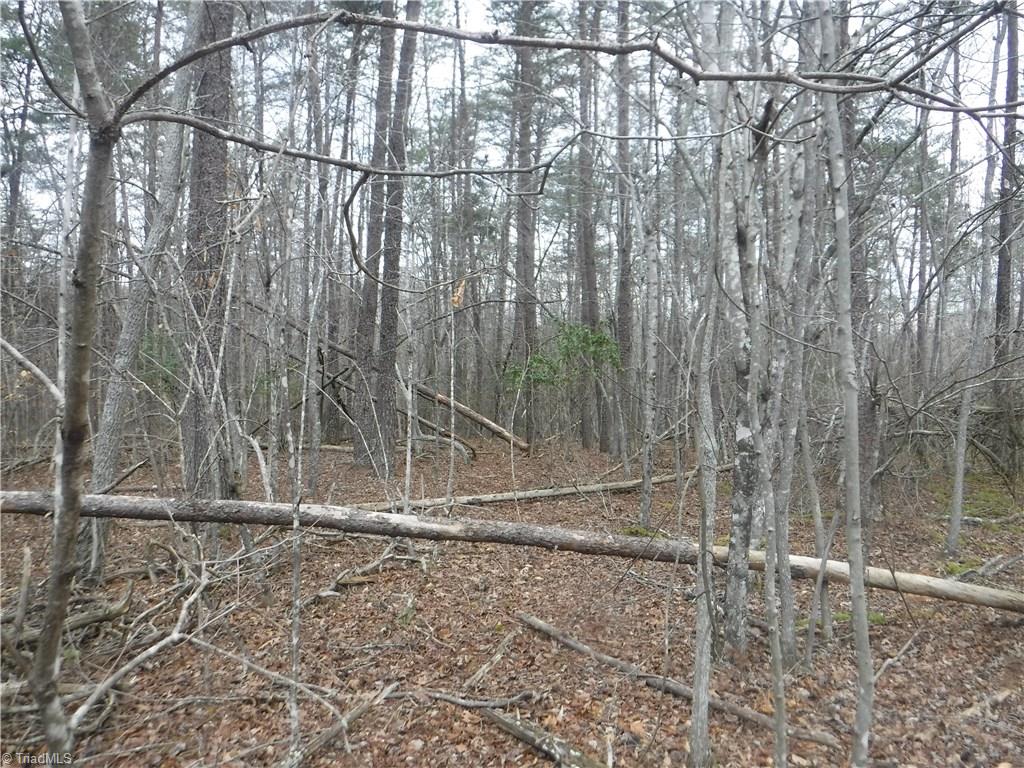 1320 McDaniel Road Pilot Mountain, NC 27041 - Photo 6 of 10 Gallery Image 6