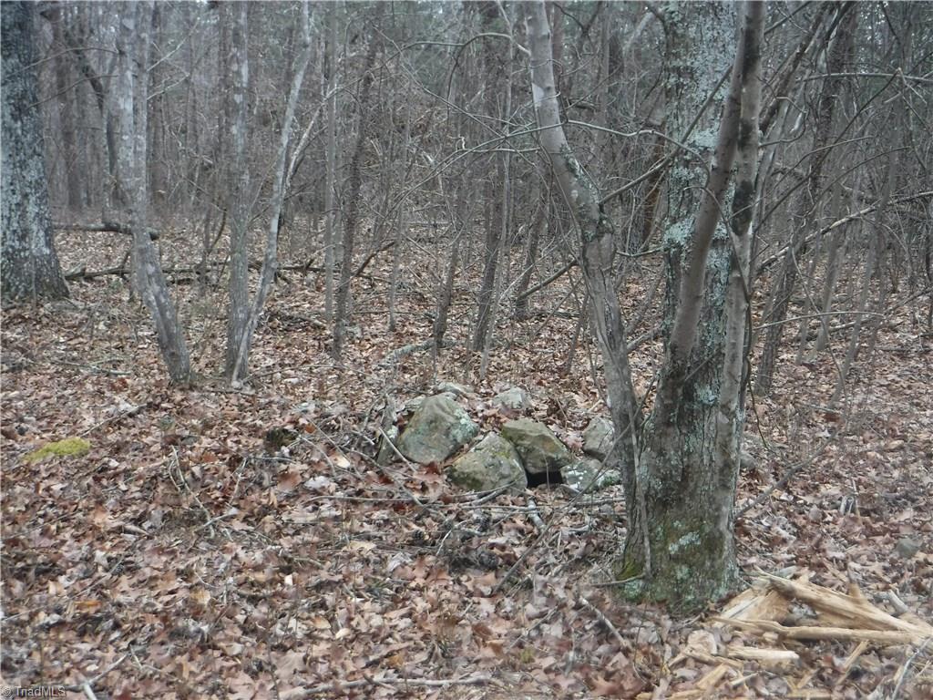 1320 McDaniel Road Pilot Mountain, NC 27041 - Photo 7 of 10 Gallery Image 7