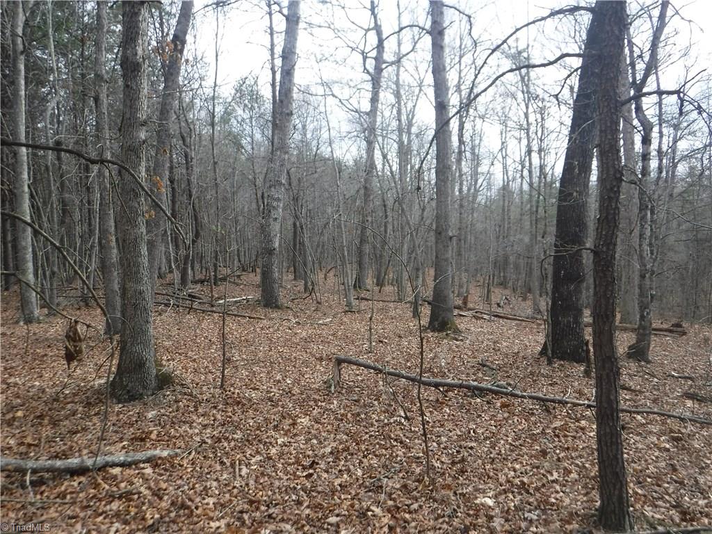 1320 McDaniel Road Pilot Mountain, NC 27041 - Photo 8 of 10 Gallery Image 8