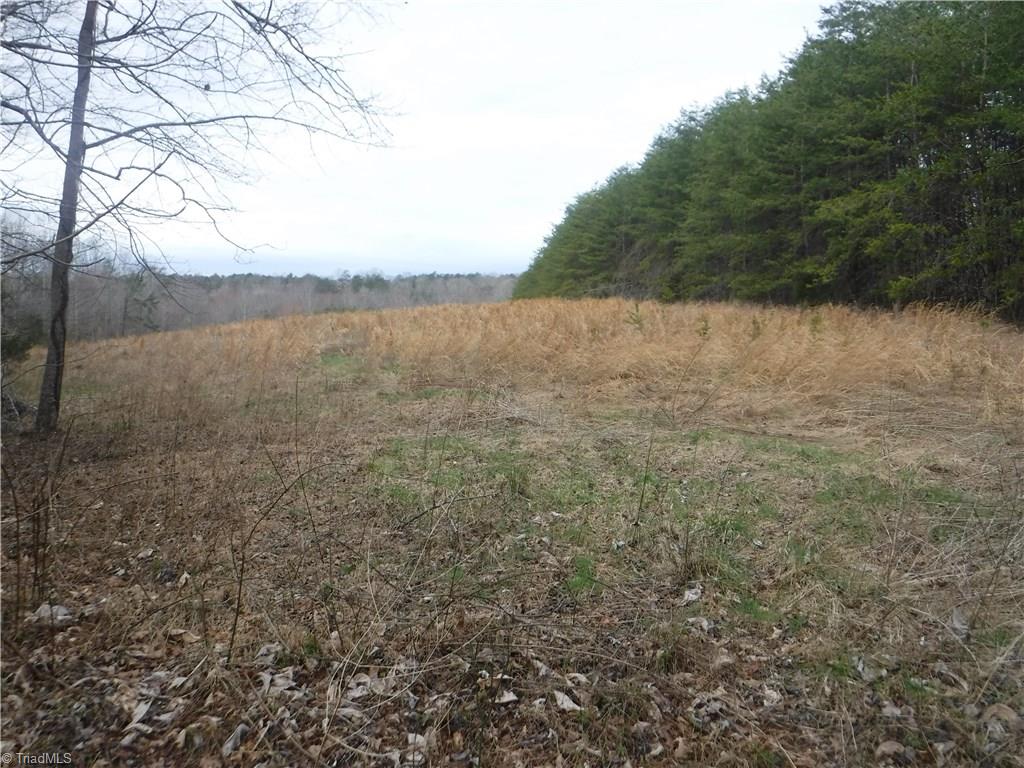 1320 McDaniel Road Pilot Mountain, NC 27041 - Photo 9 of 10 Gallery Image 9