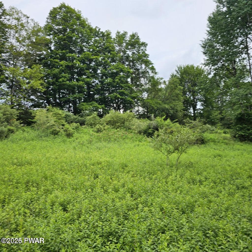 45 Lake Russell Road Newfoundland, PA 18445 - Photo 2 of 9 Gallery Image 2