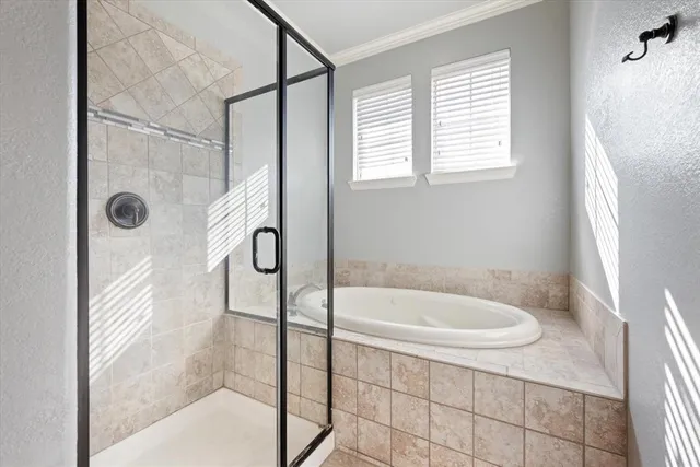 a bathroom with a bath tub and a shower
