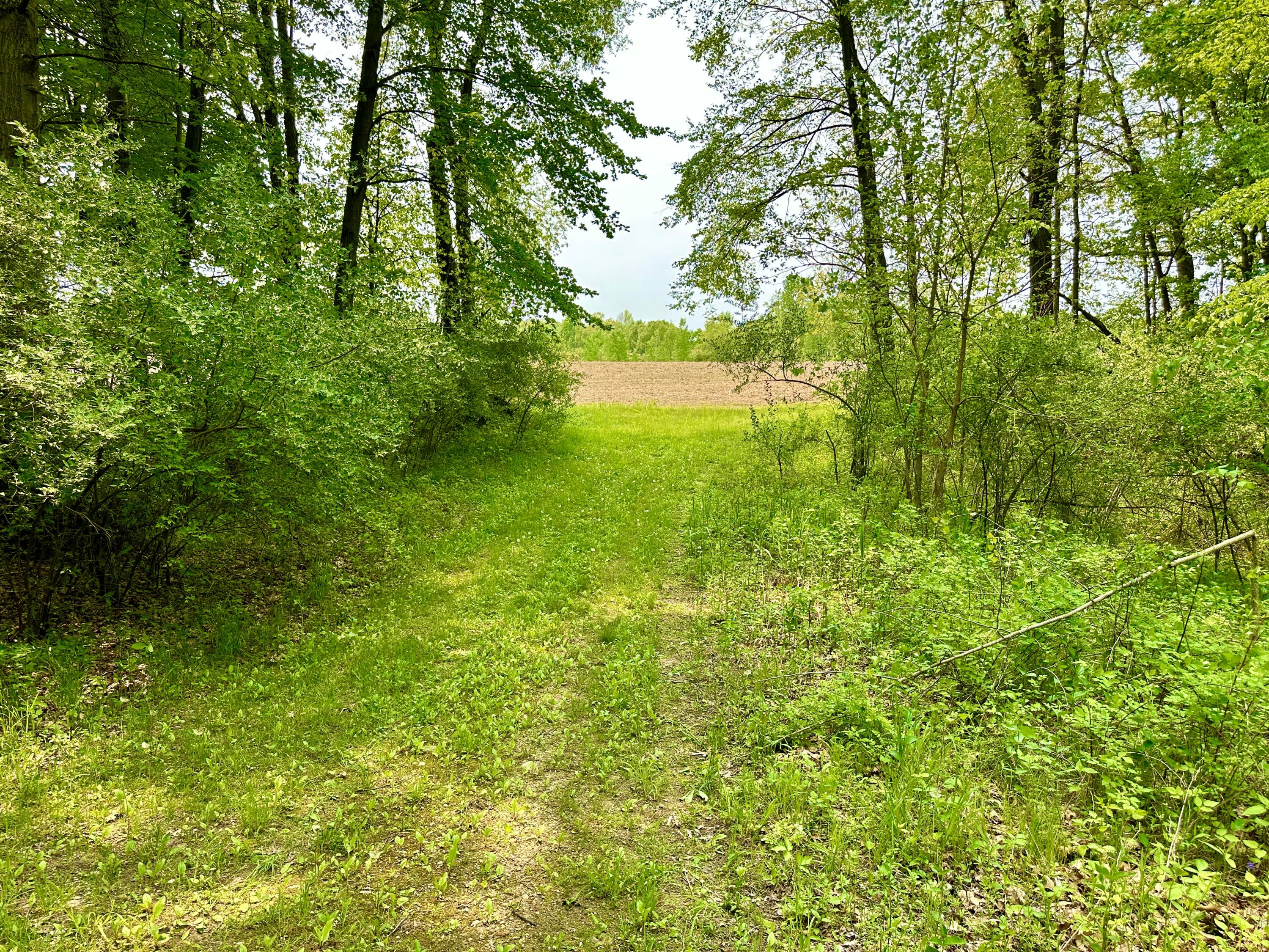 16153 Arnold Road Gregory, MI 48137 - Photo 21 of 59 IMG_1971