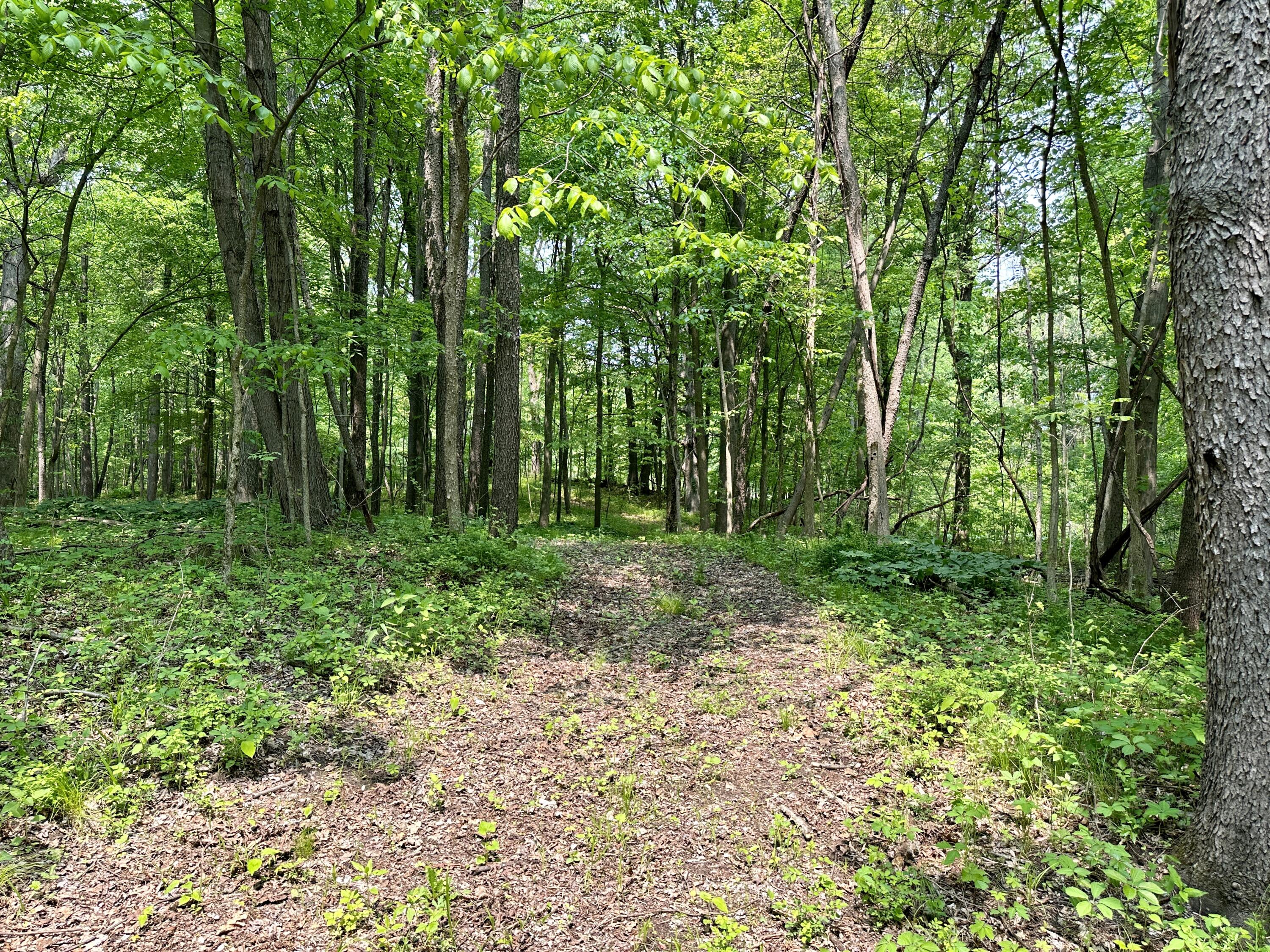 16153 Arnold Road Gregory, MI 48137 - Photo 22 of 59 IMG_1974