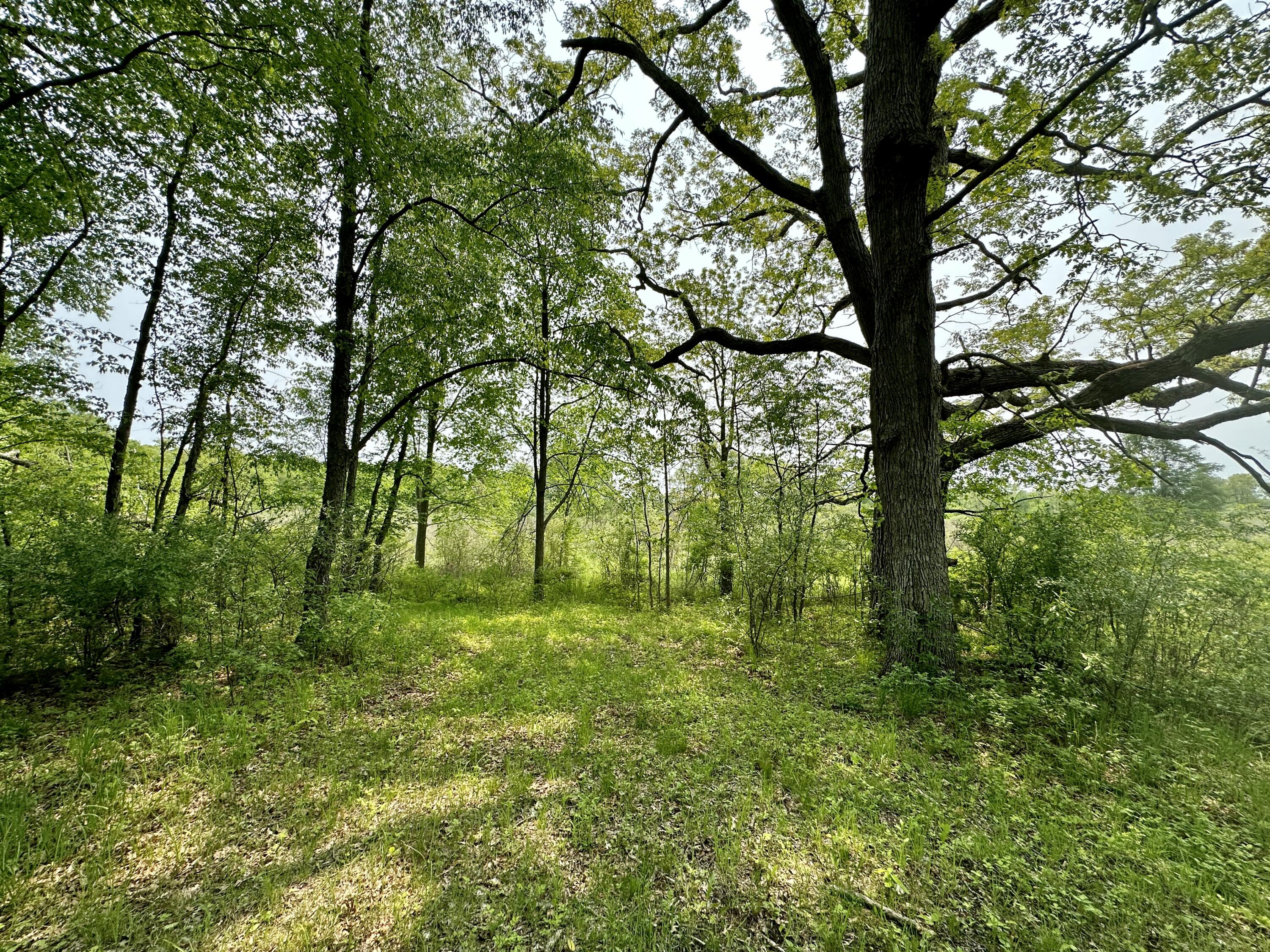 16153 Arnold Road Gregory, MI 48137 - Photo 25 of 59 IMG_1983