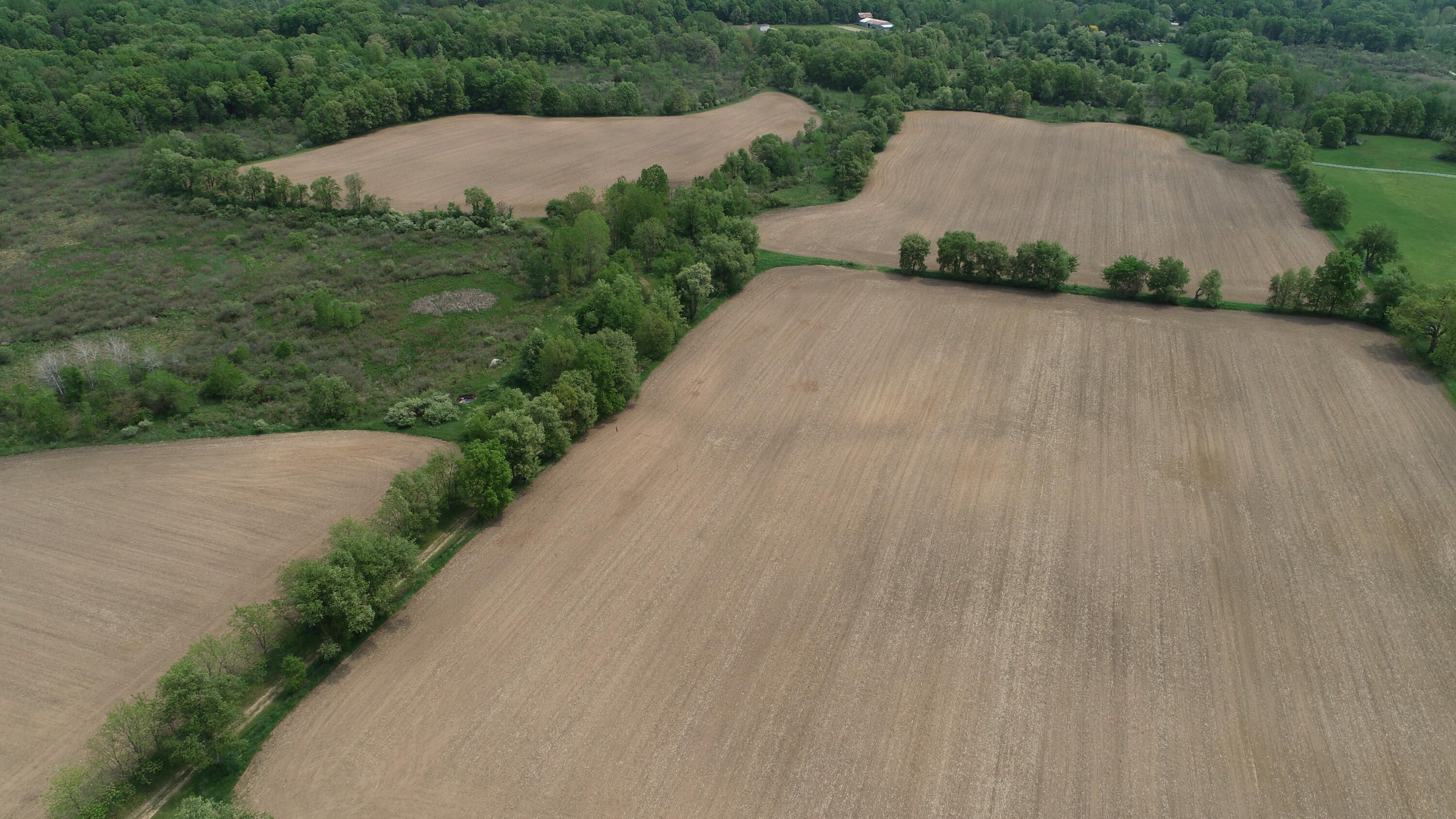 16153 Arnold Road Gregory, MI 48137 - Photo 27 of 59 DJI_0002