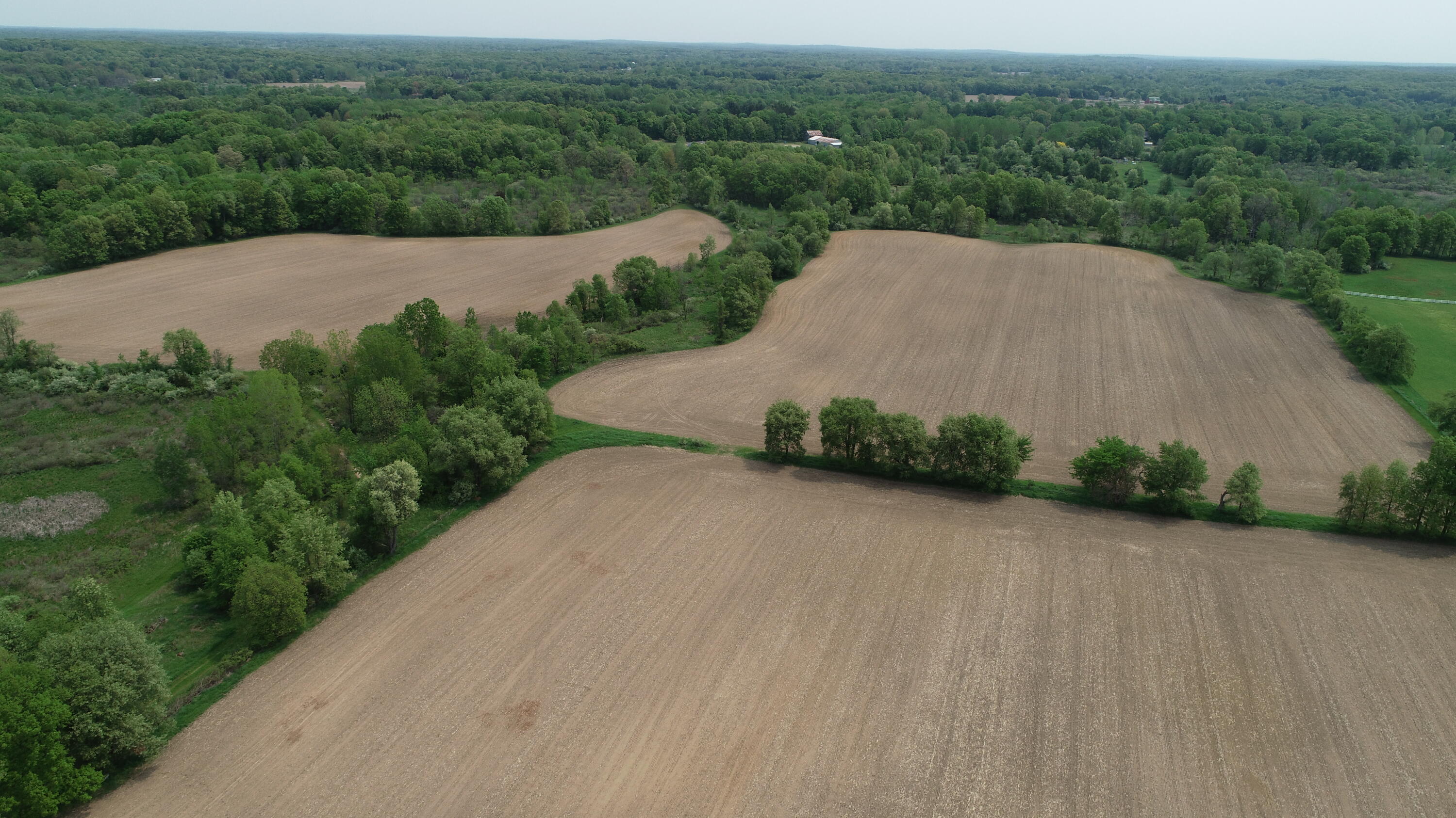 16153 Arnold Road Gregory, MI 48137 - Photo 30 of 59 DJI_0010