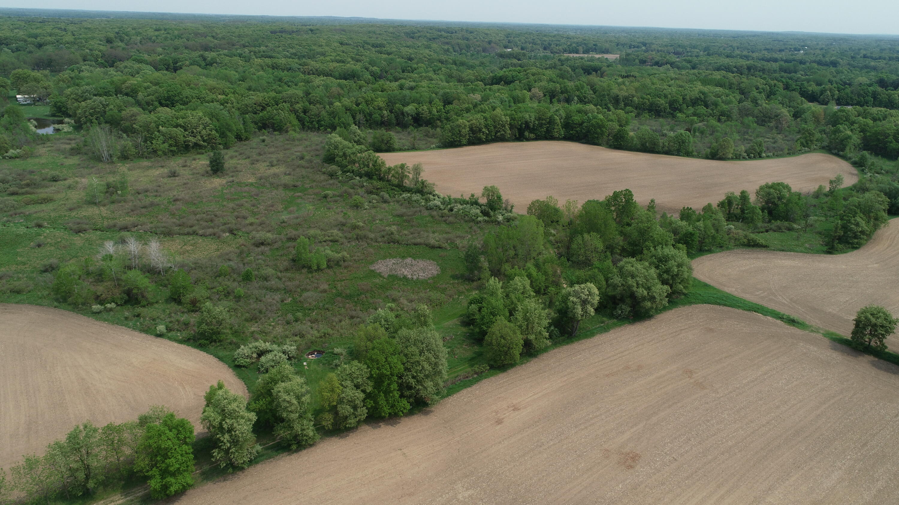 16153 Arnold Road Gregory, MI 48137 - Photo 31 of 59 DJI_0011