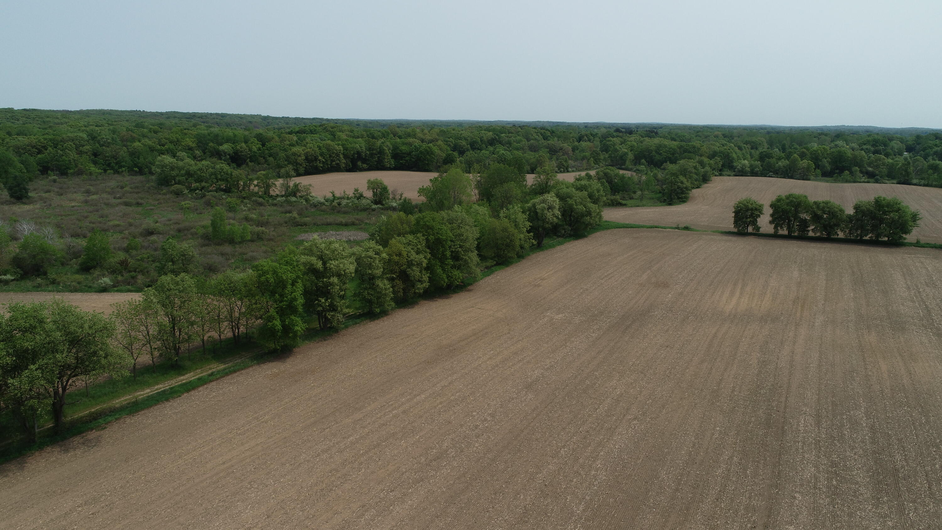 16153 Arnold Road Gregory, MI 48137 - Photo 40 of 59 DJI_0031