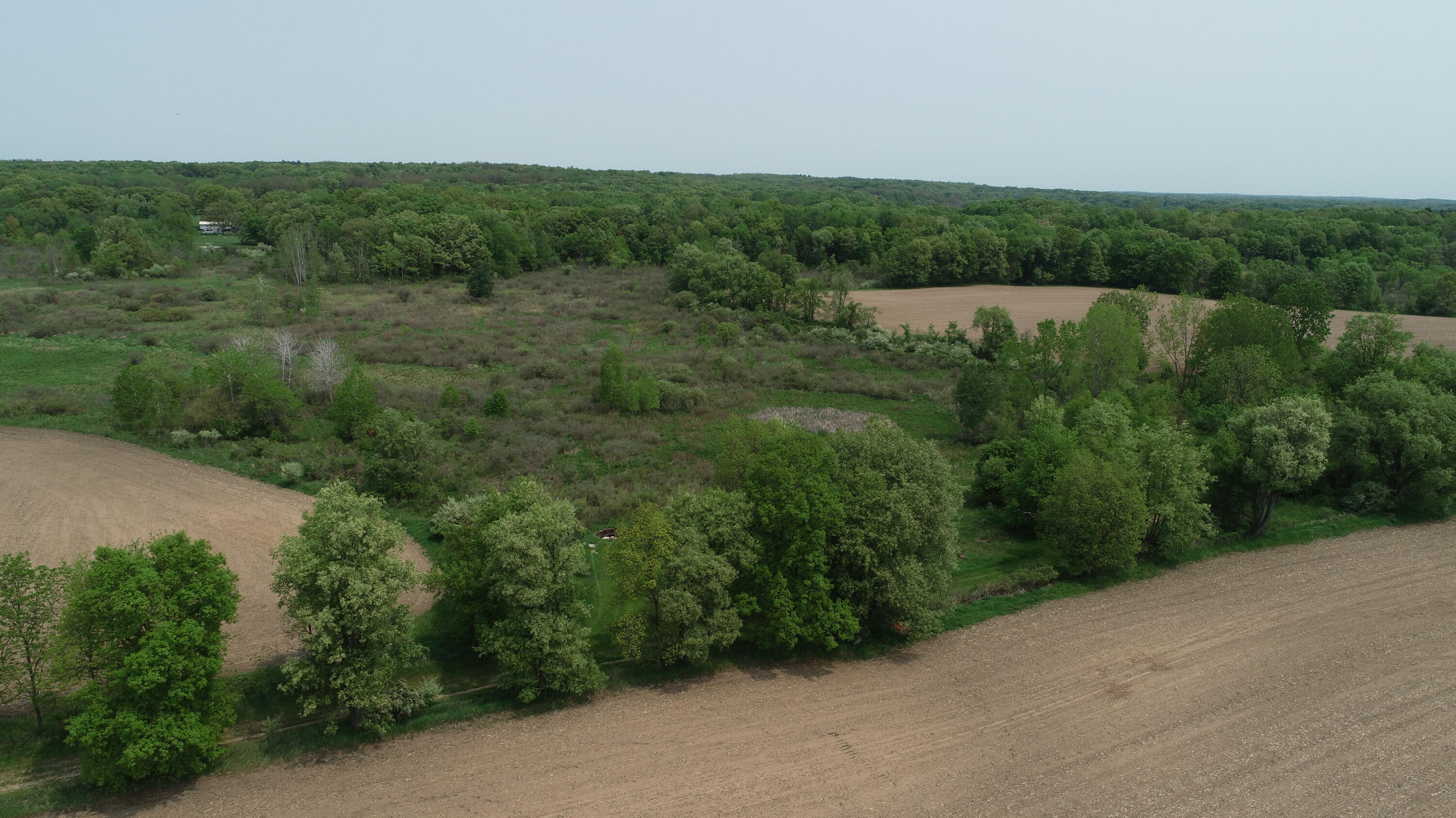 16153 Arnold Road Gregory, MI 48137 - Photo 41 of 59 DJI_0032