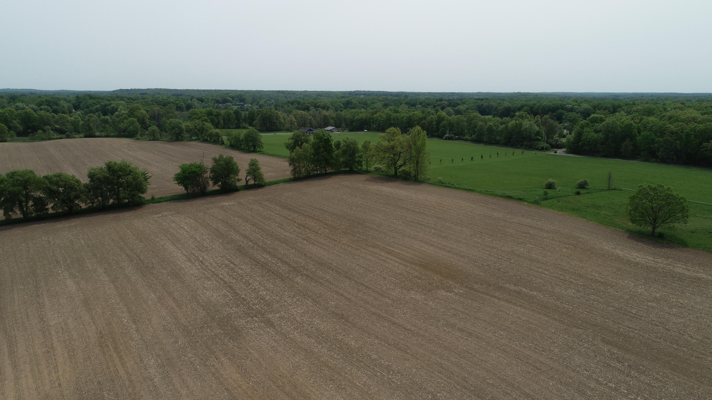 16153 Arnold Road Gregory, MI 48137 - Photo 43 of 59 DJI_0034