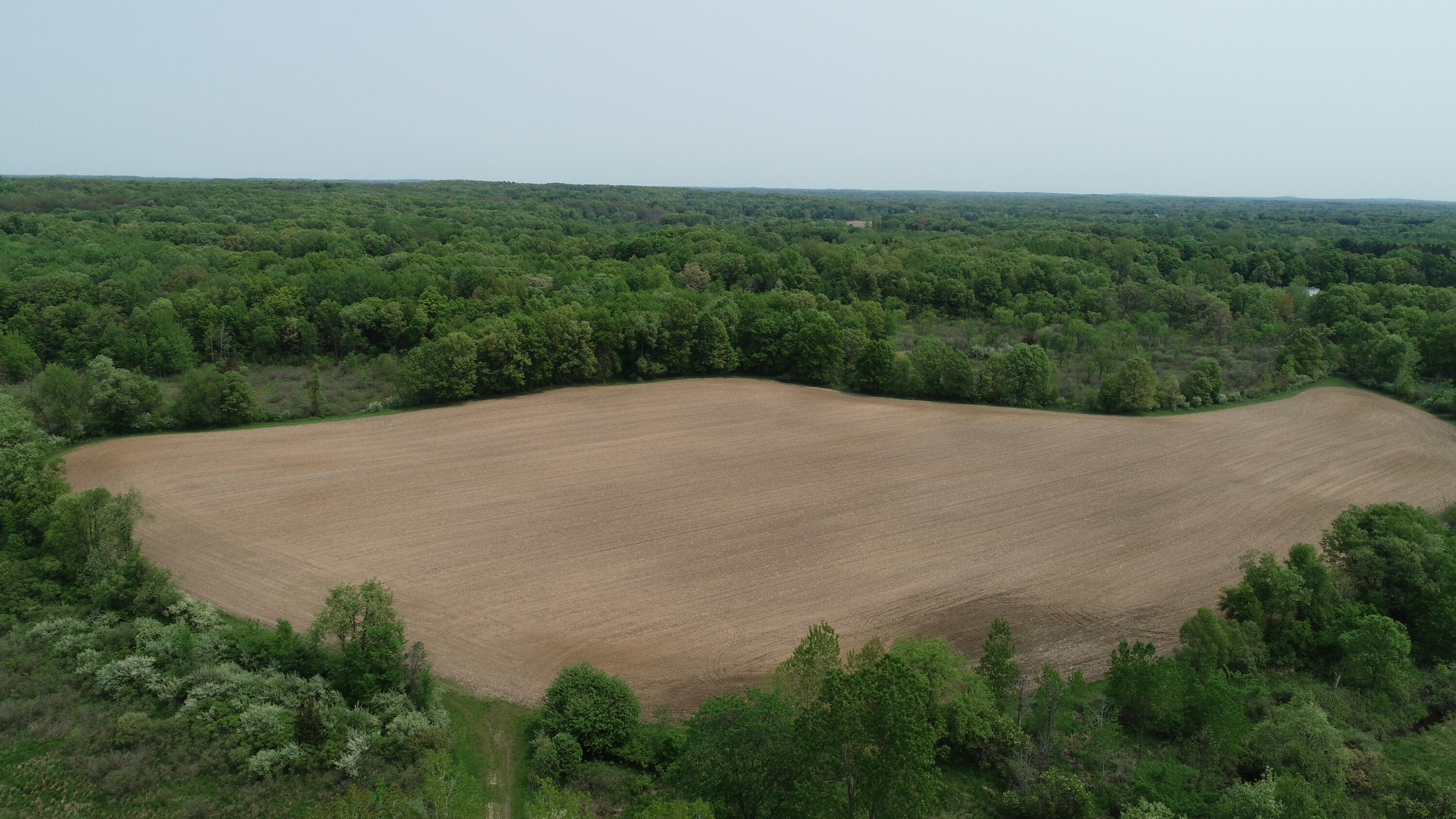 16153 Arnold Road Gregory, MI 48137 - Photo 45 of 59 DJI_0037
