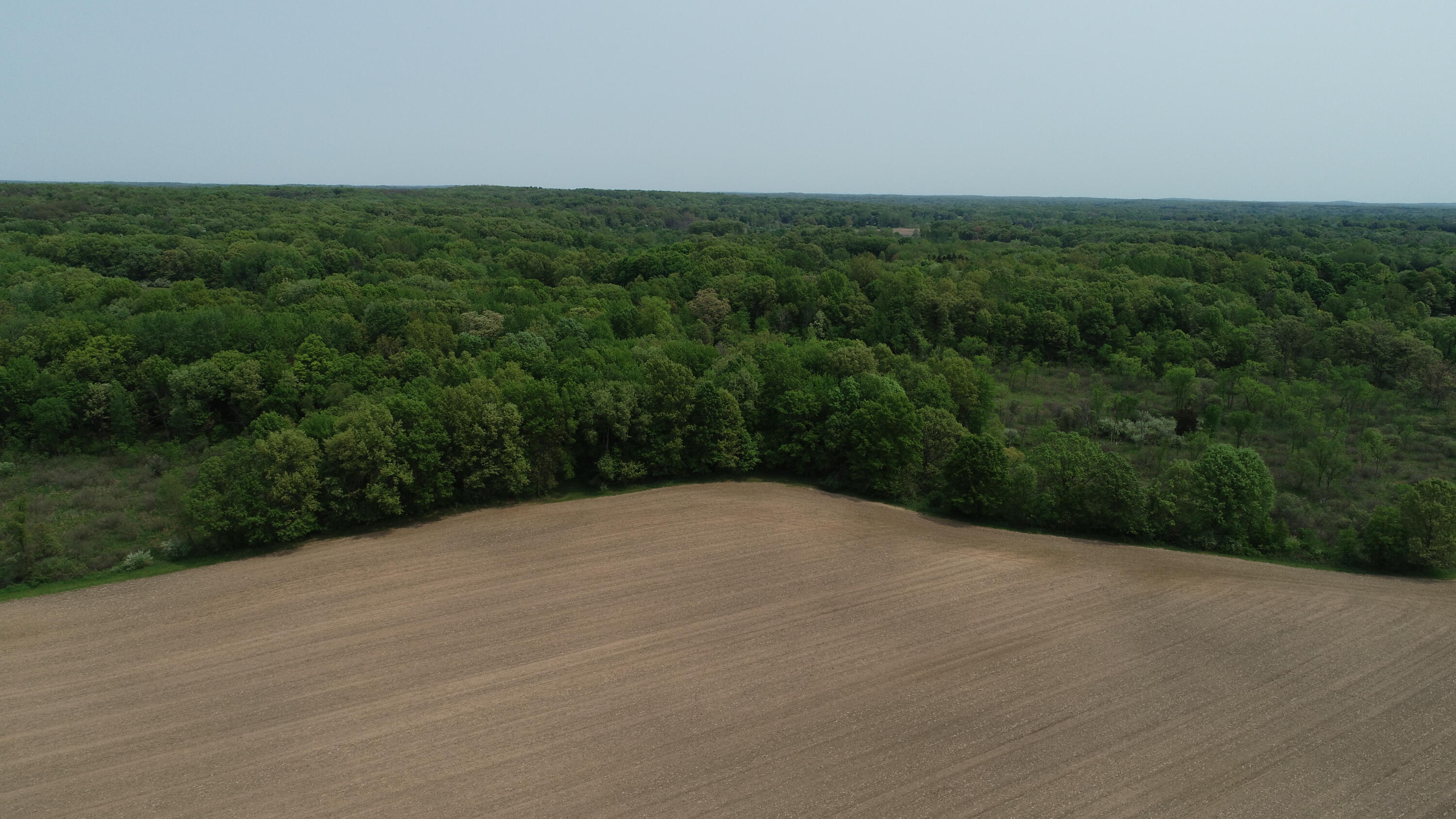16153 Arnold Road Gregory, MI 48137 - Photo 46 of 59 DJI_0038