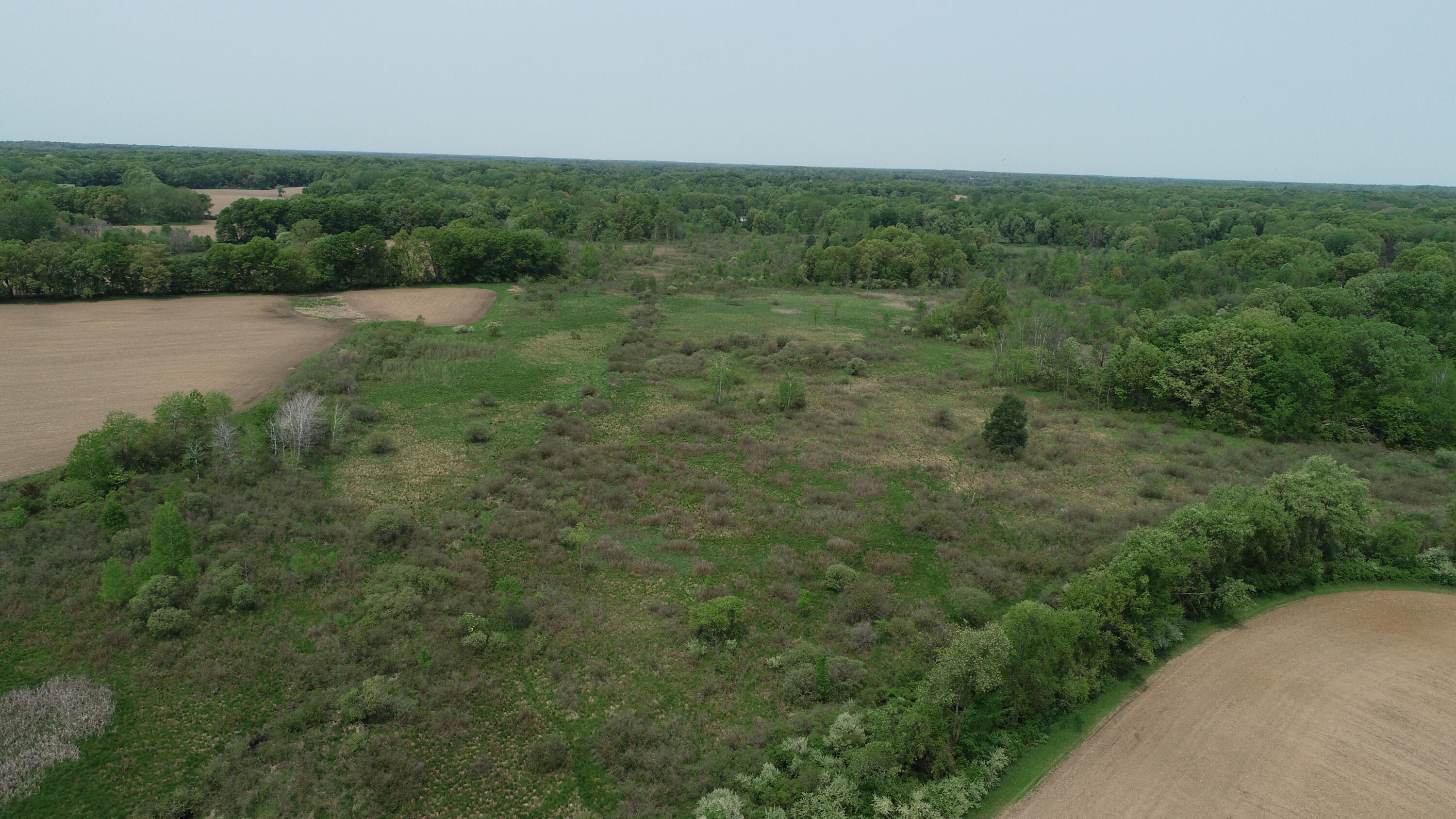 16153 Arnold Road Gregory, MI 48137 - Photo 48 of 59 DJI_0040