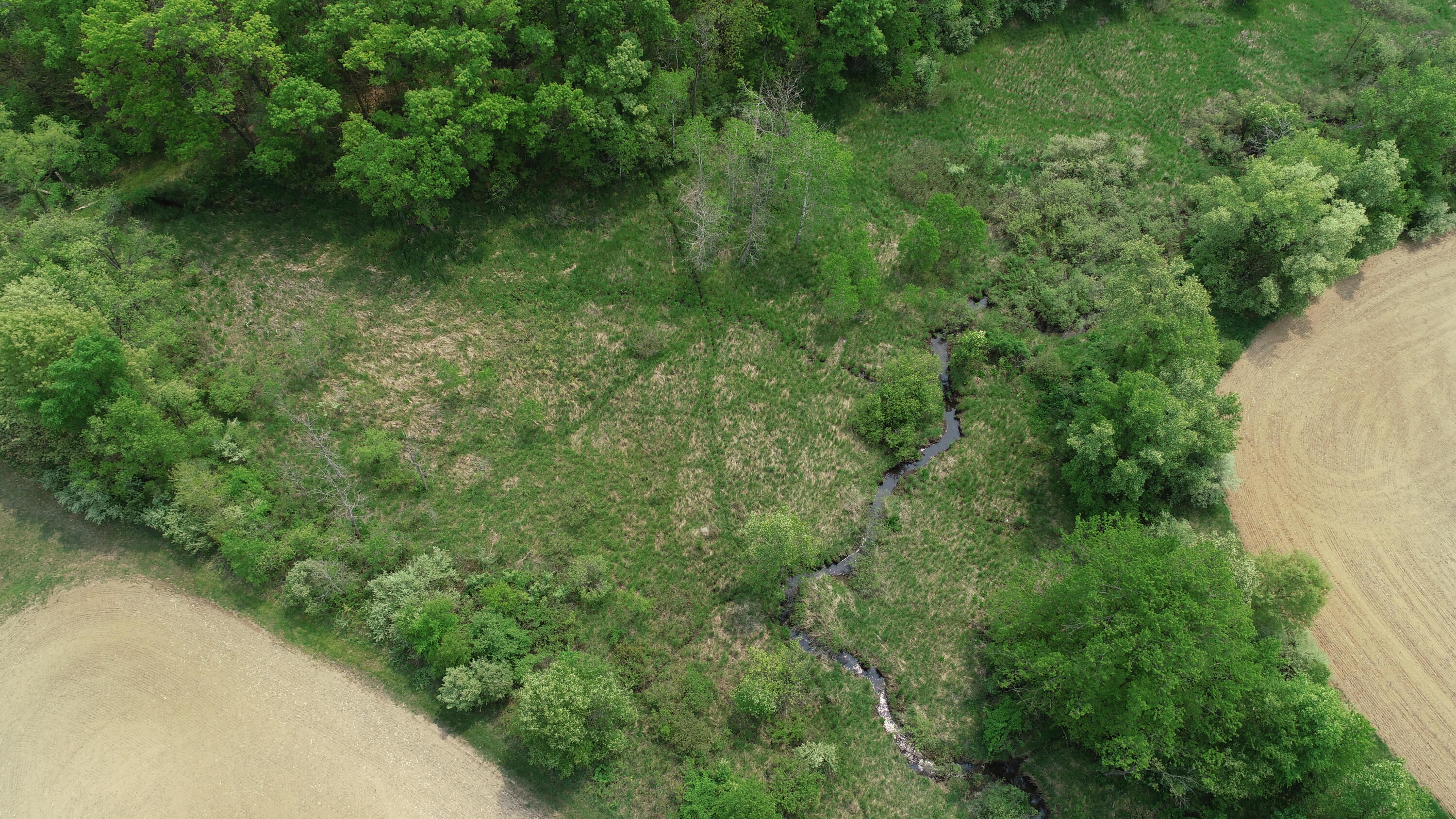 16153 Arnold Road Gregory, MI 48137 - Photo 54 of 59 DJI_0046