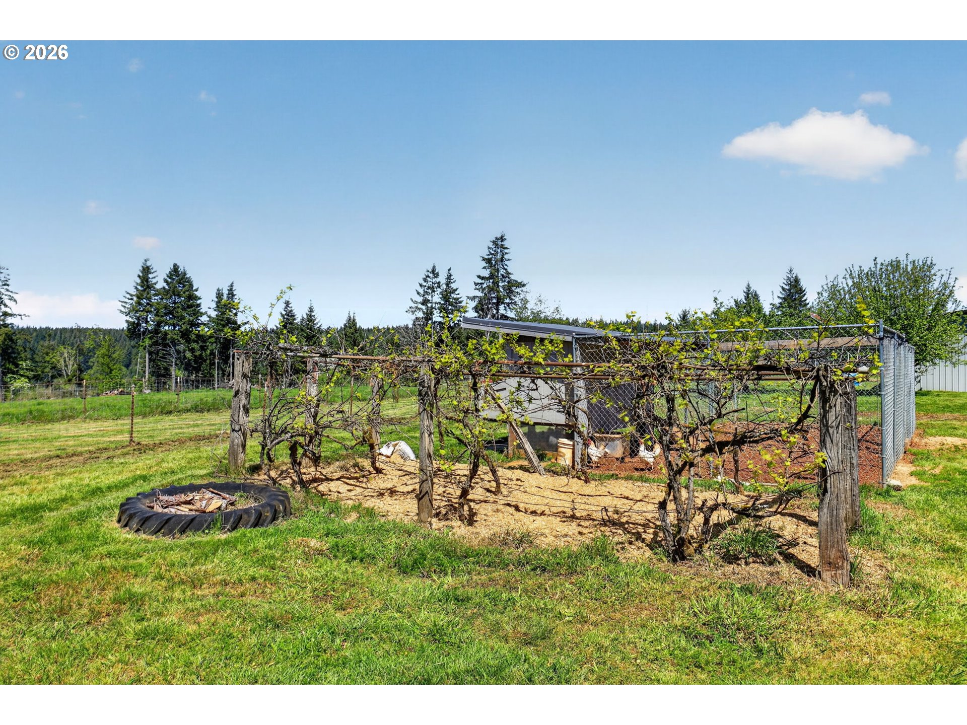 17623 South Windy City Road Mulino, OR 97042 - Photo 38 of 48 a view of outdoor space and yard
