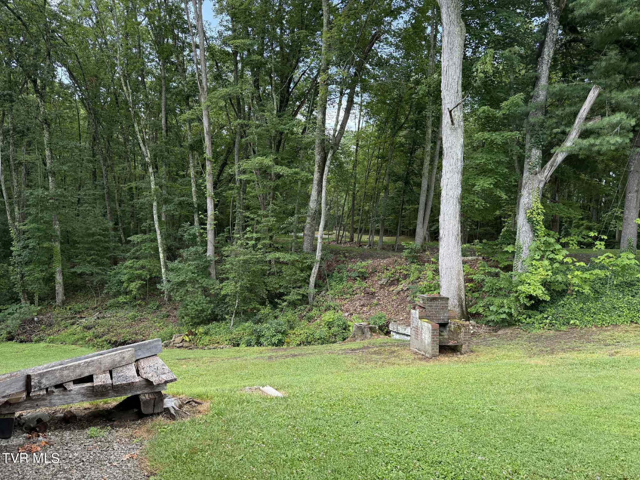 2818 Dungannon Road Coeburn, VA 24230 - Photo 32 of 86 rf3f3rf