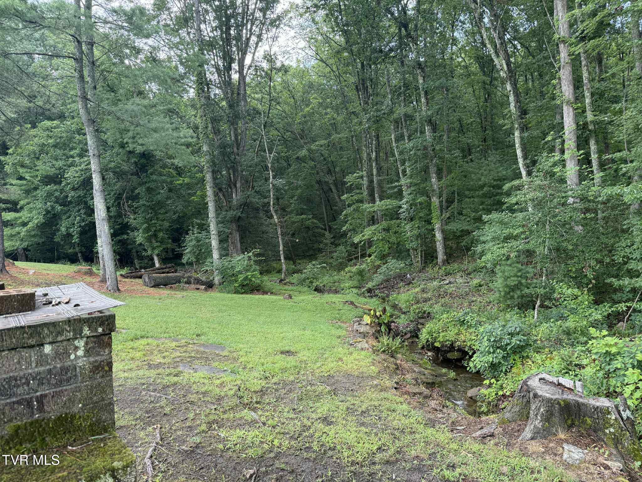 2818 Dungannon Road Coeburn, VA 24230 - Photo 33 of 86 rghty56hy77