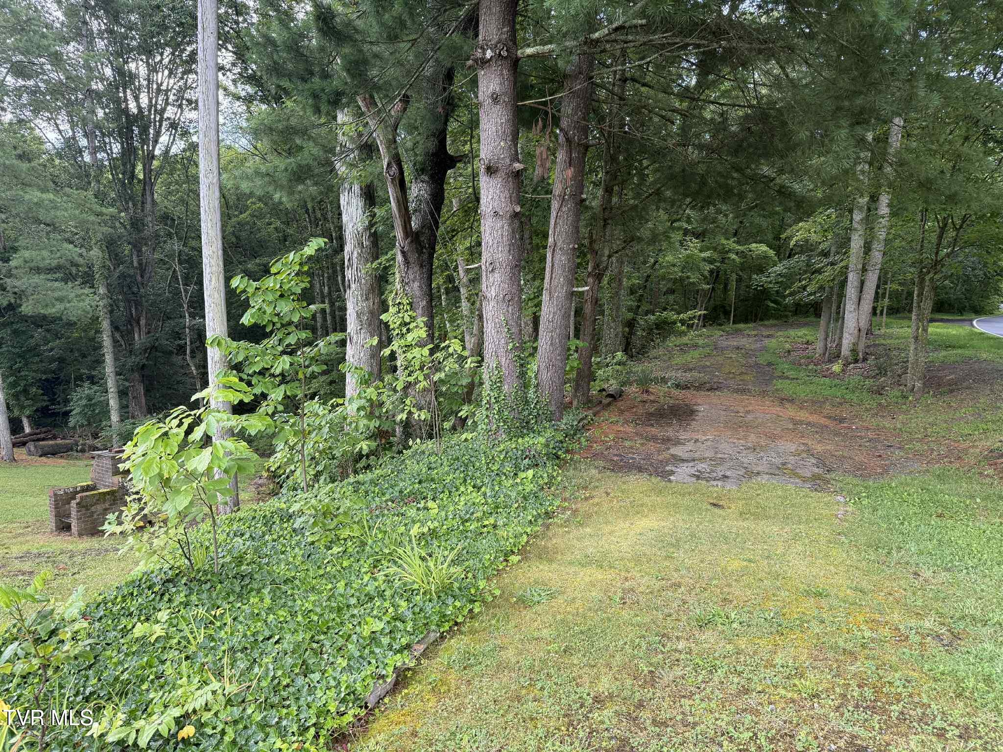 2818 Dungannon Road Coeburn, VA 24230 - Photo 35 of 86 rth4th6