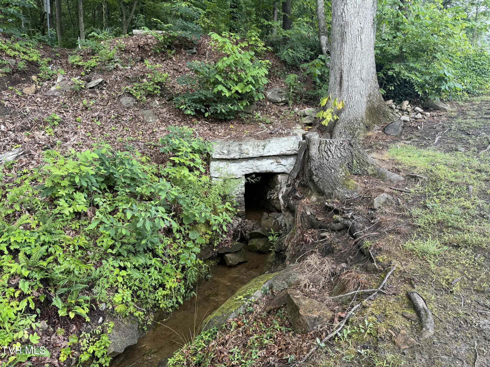 2818 Dungannon Road Coeburn, VA 24230 - Photo 41 of 86 rthrthth