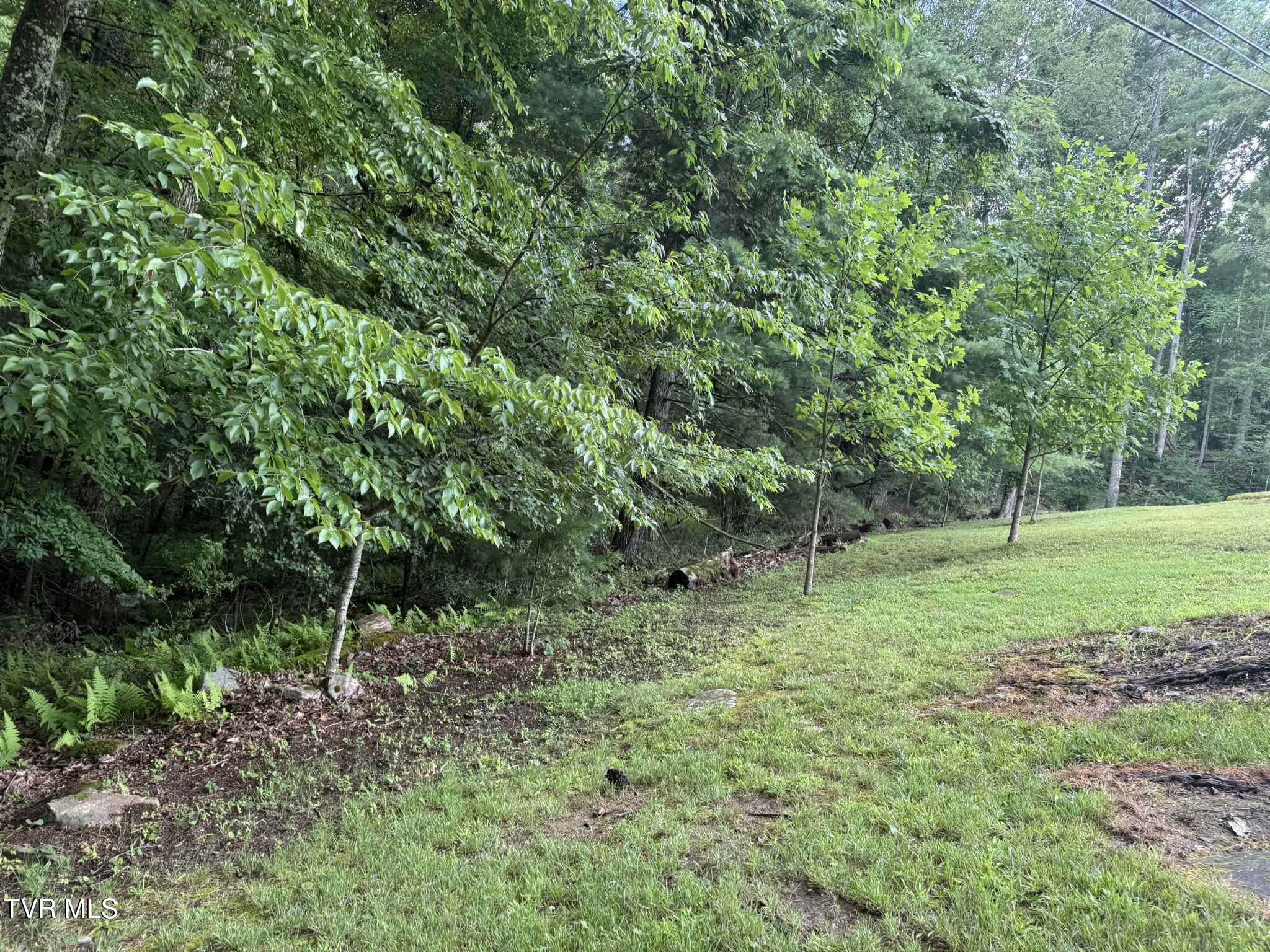 2818 Dungannon Road Coeburn, VA 24230 - Photo 42 of 86 rtyhrth5h