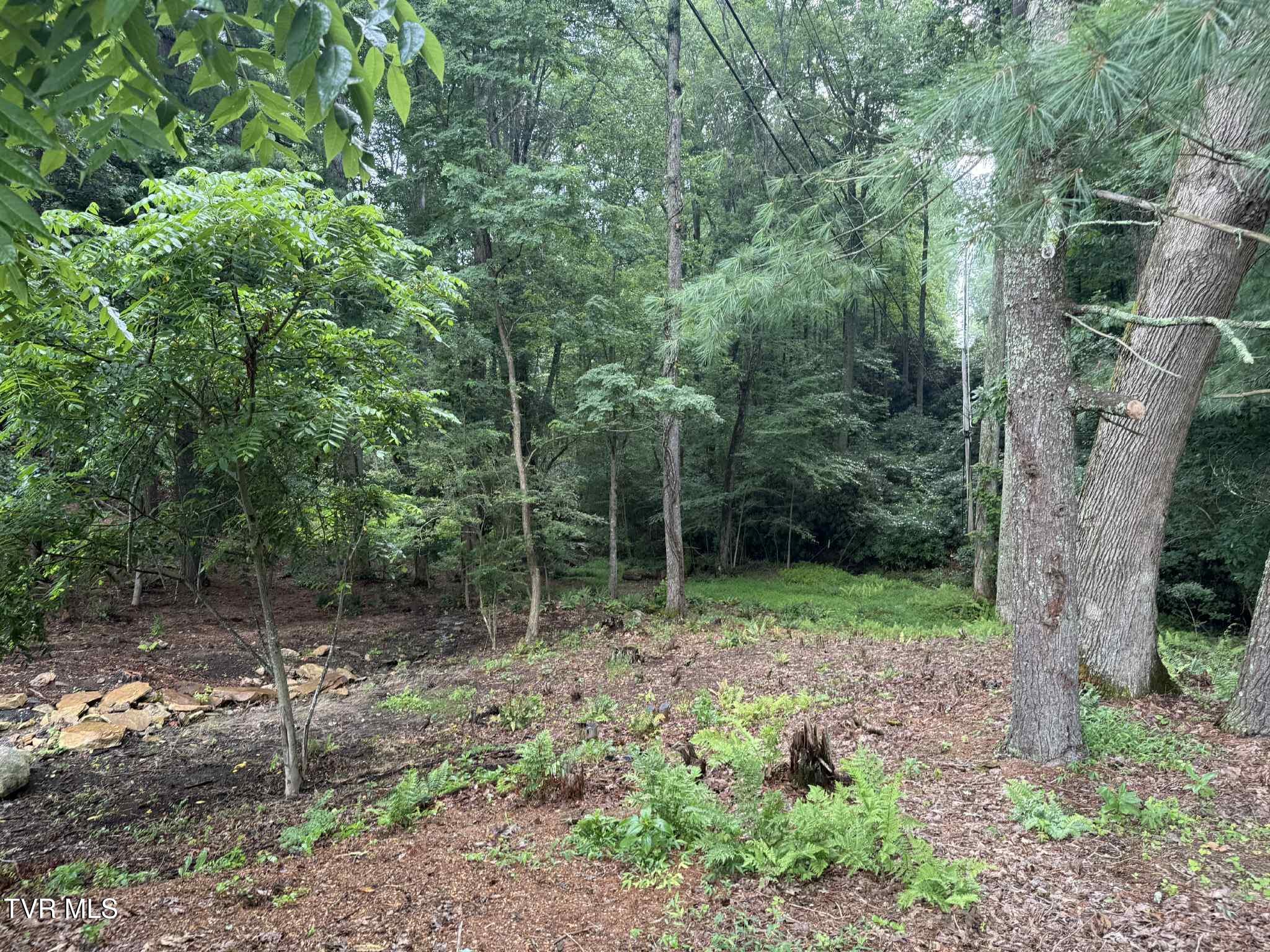 2818 Dungannon Road Coeburn, VA 24230 - Photo 47 of 86 th46h5t