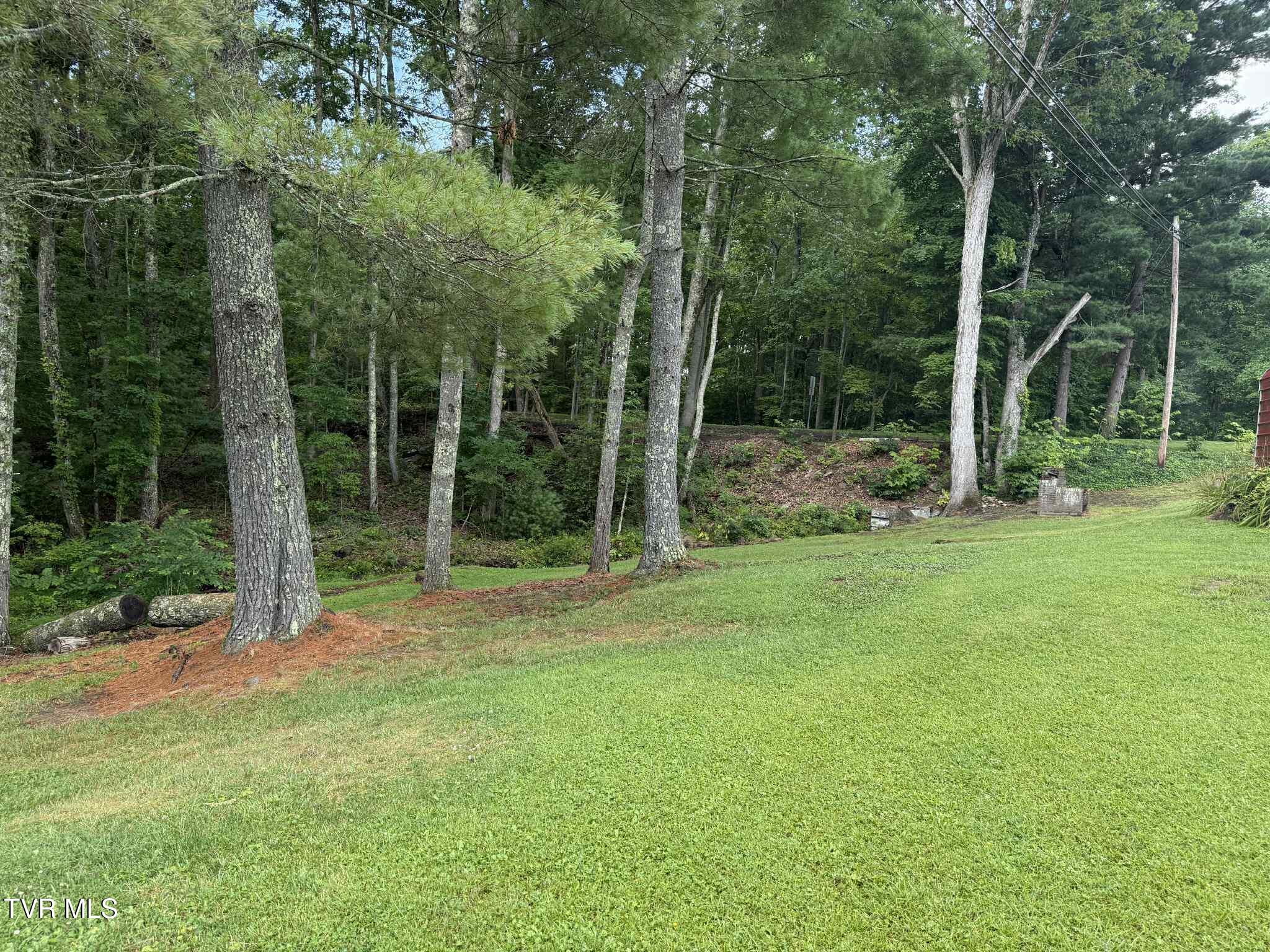 2818 Dungannon Road Coeburn, VA 24230 - Photo 54 of 86 trhth45h6