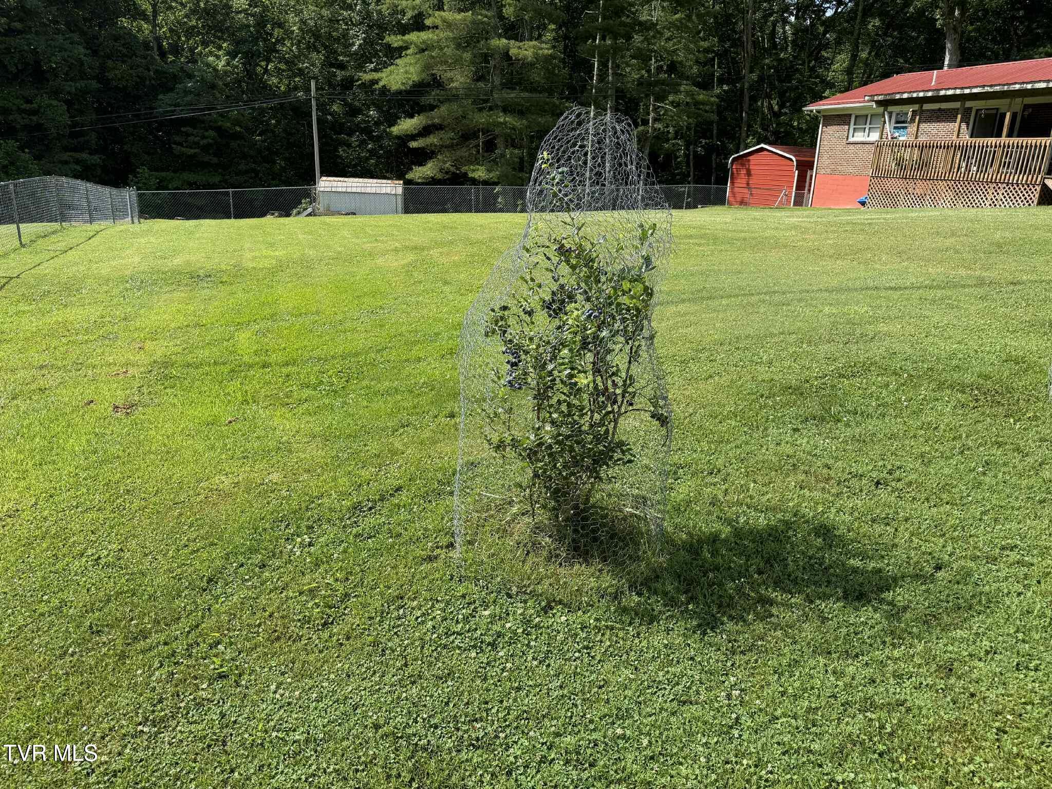 2818 Dungannon Road Coeburn, VA 24230 - Photo 56 of 86 thntn565