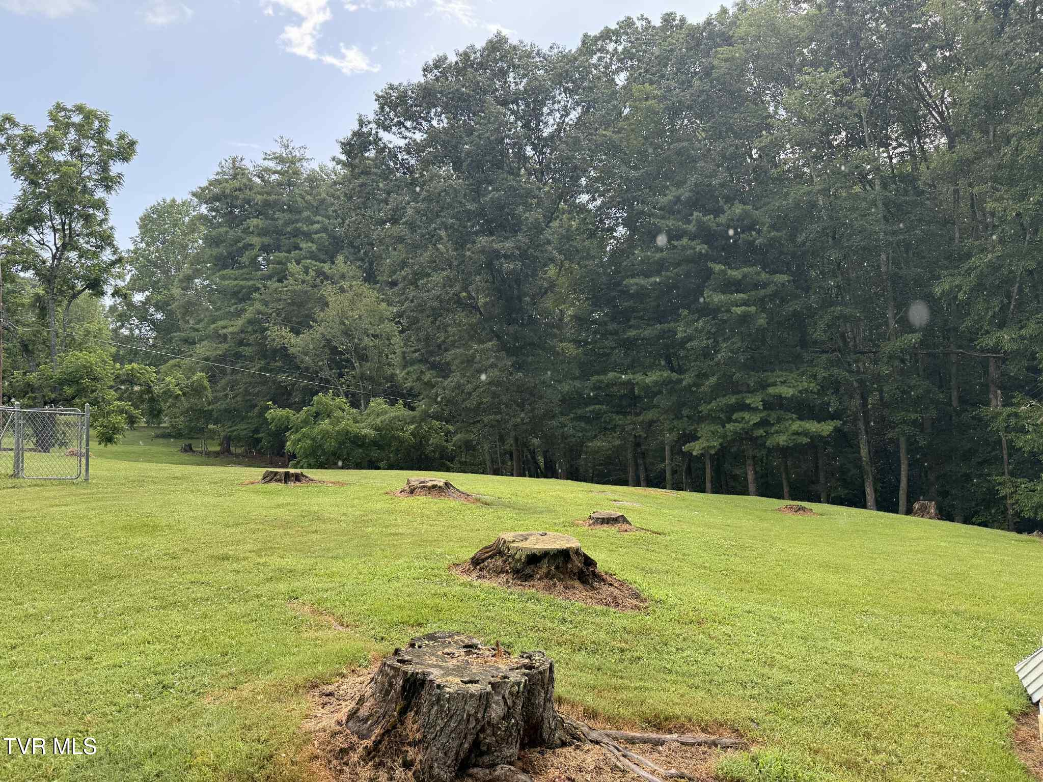 2818 Dungannon Road Coeburn, VA 24230 - Photo 6 of 86 rthrt45h4