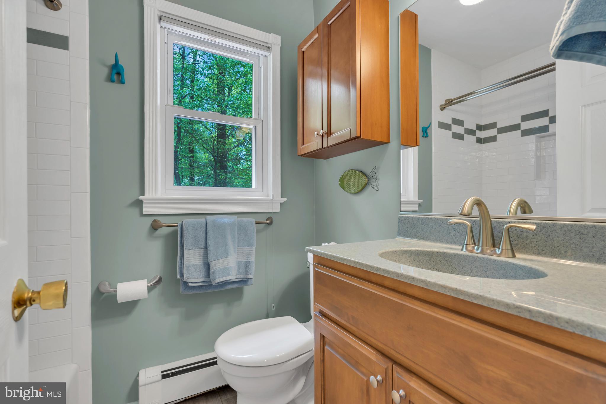 801 Mt Lucas Road Princeton, NJ 08540 - Photo 18 of 39 a bathroom with a sink a toilet and a mirror