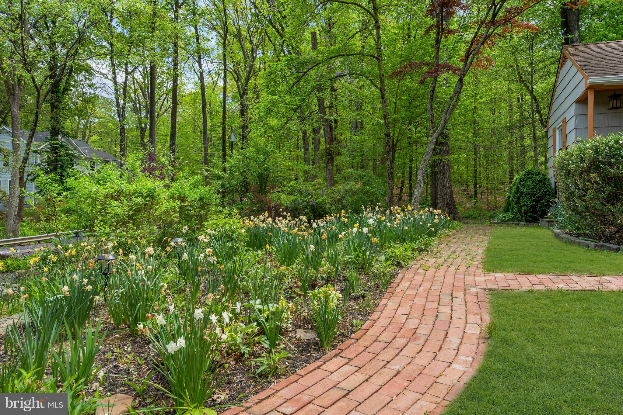 801 Mt Lucas Road Princeton, NJ 08540 - Photo 38 of 39 a view of a backyard with plants